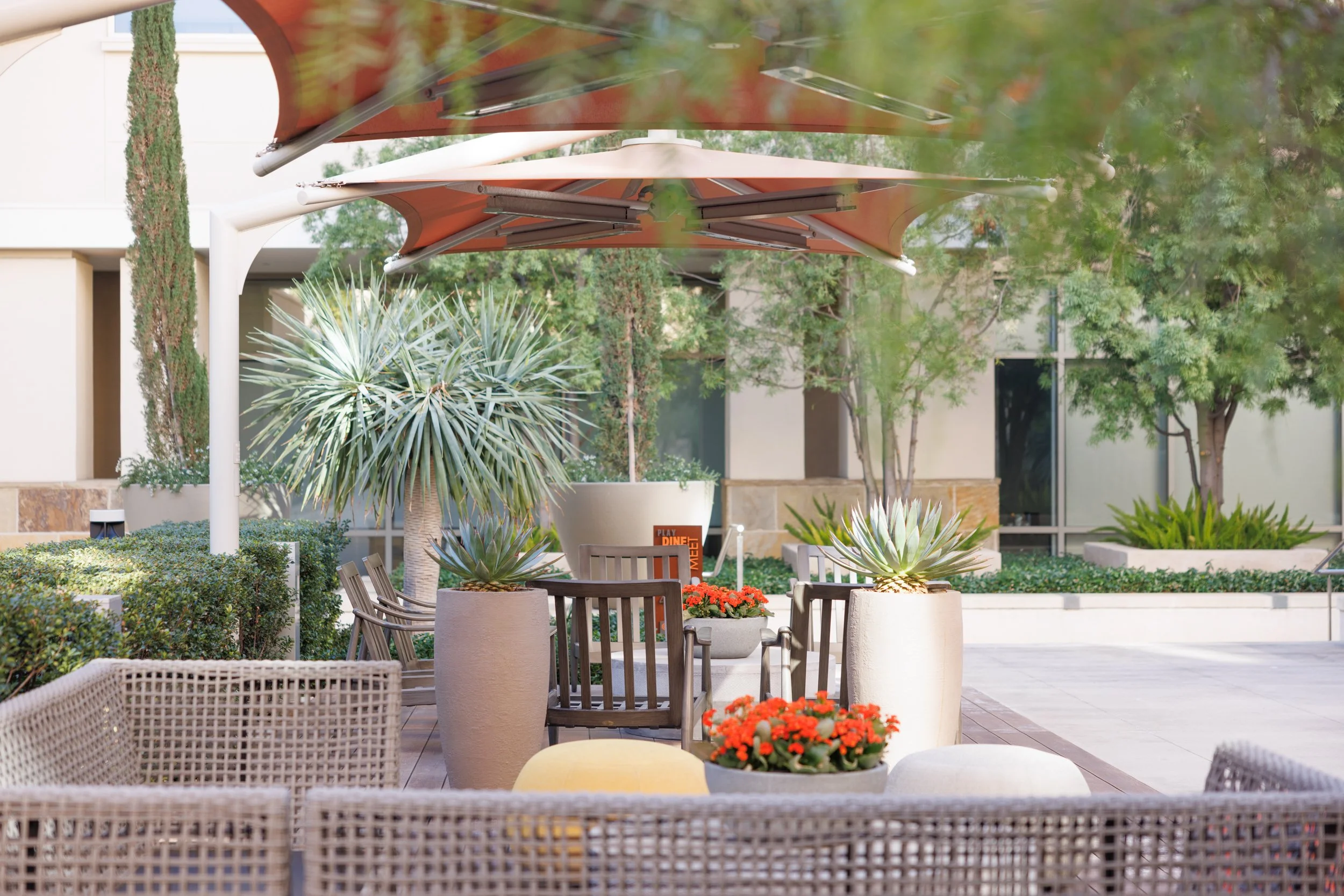 Ⓒ2023 RMS_7M4A2783.JPG