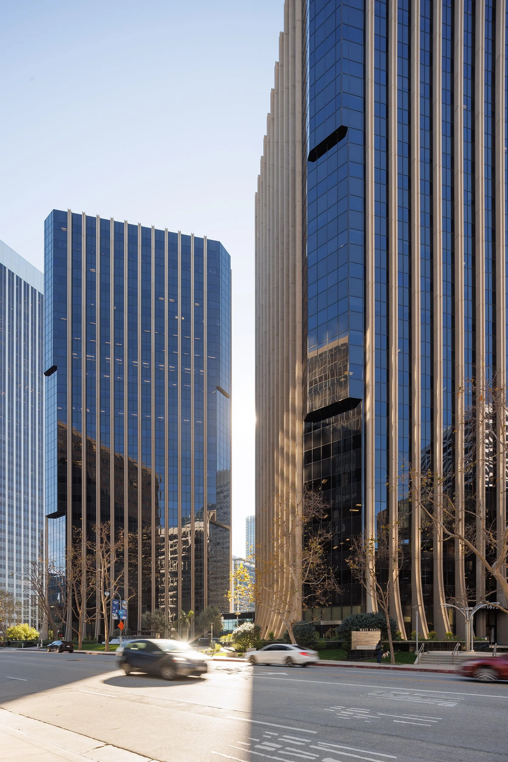 Ⓒ2024 RMS_7M4A2898.JPG