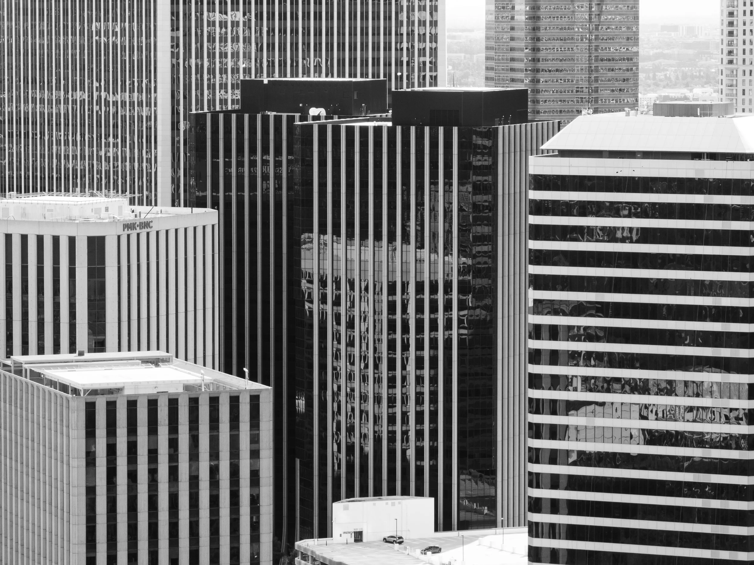 Ⓒ2024 RMS_2995.JPG