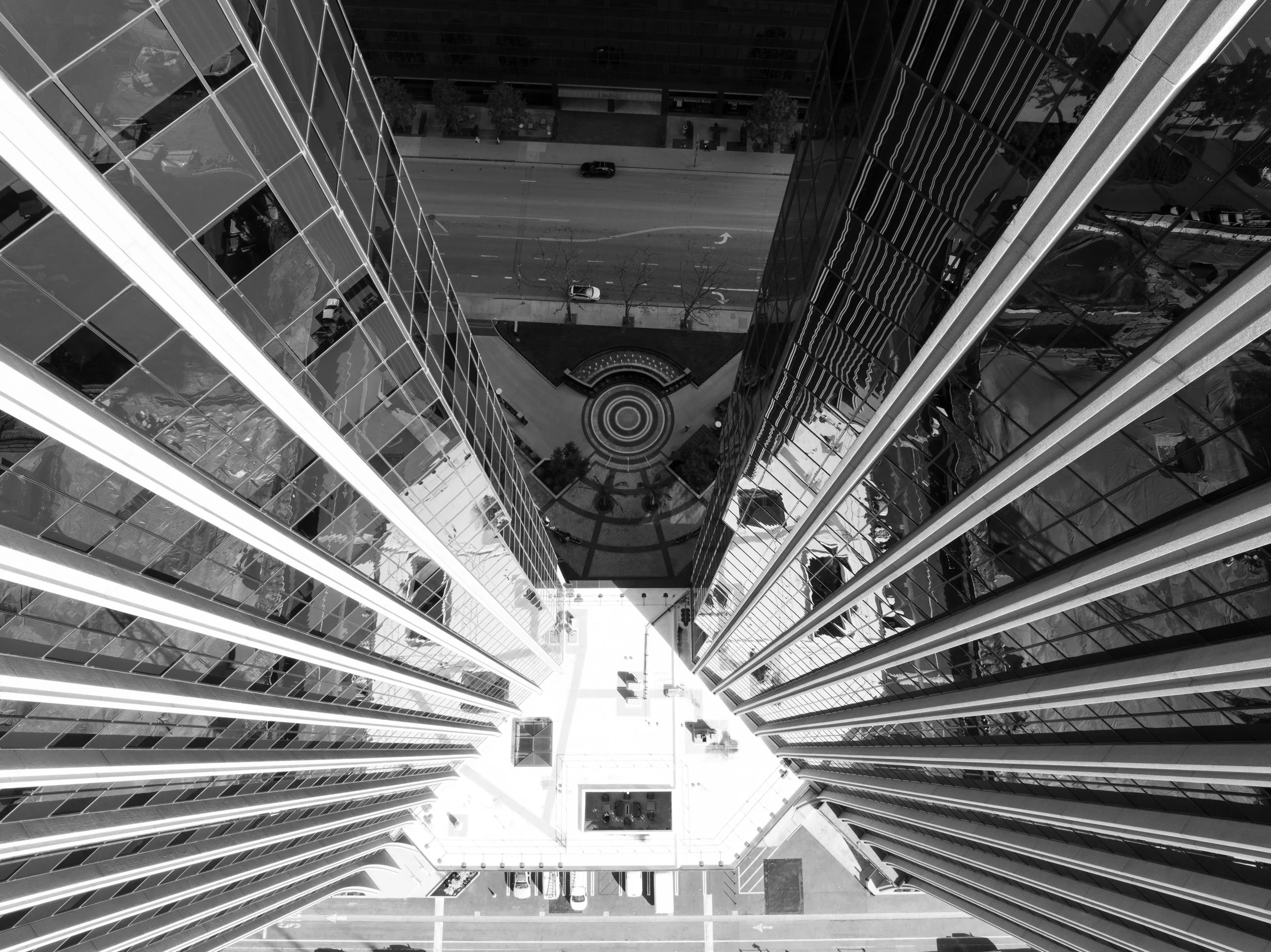 Ⓒ2024 RMS_3006.JPG