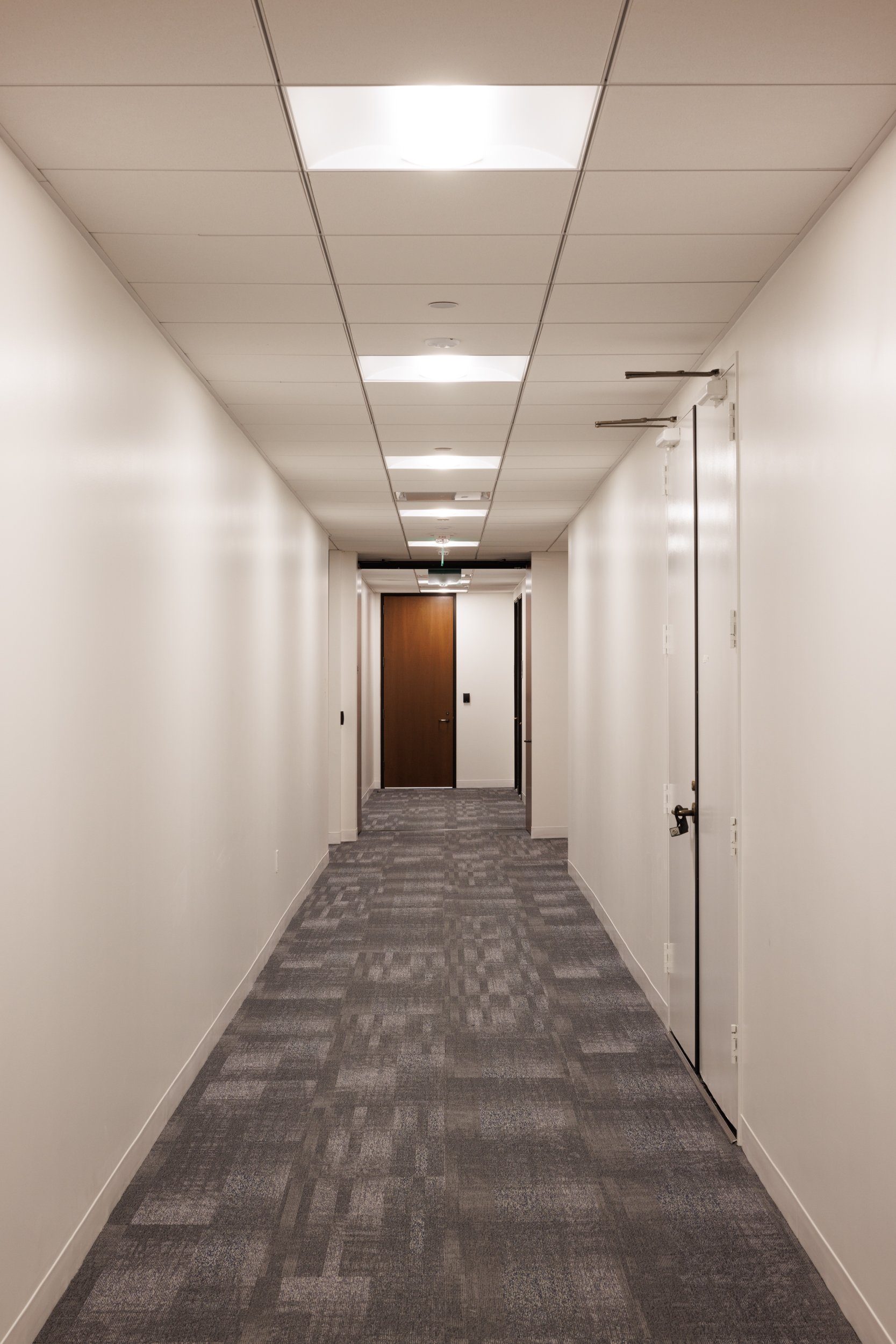 Ⓒ2024 RMS_7M4A3432_COMMON.JPG