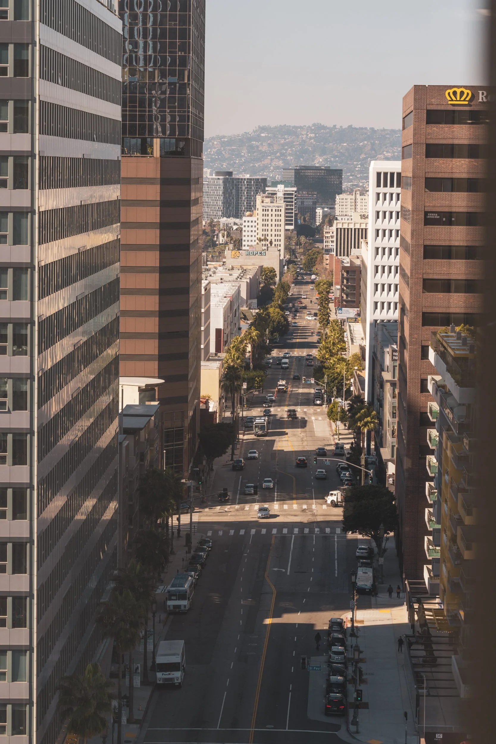 Ⓒ2024 RMS_7M4A3460_1700.JPG