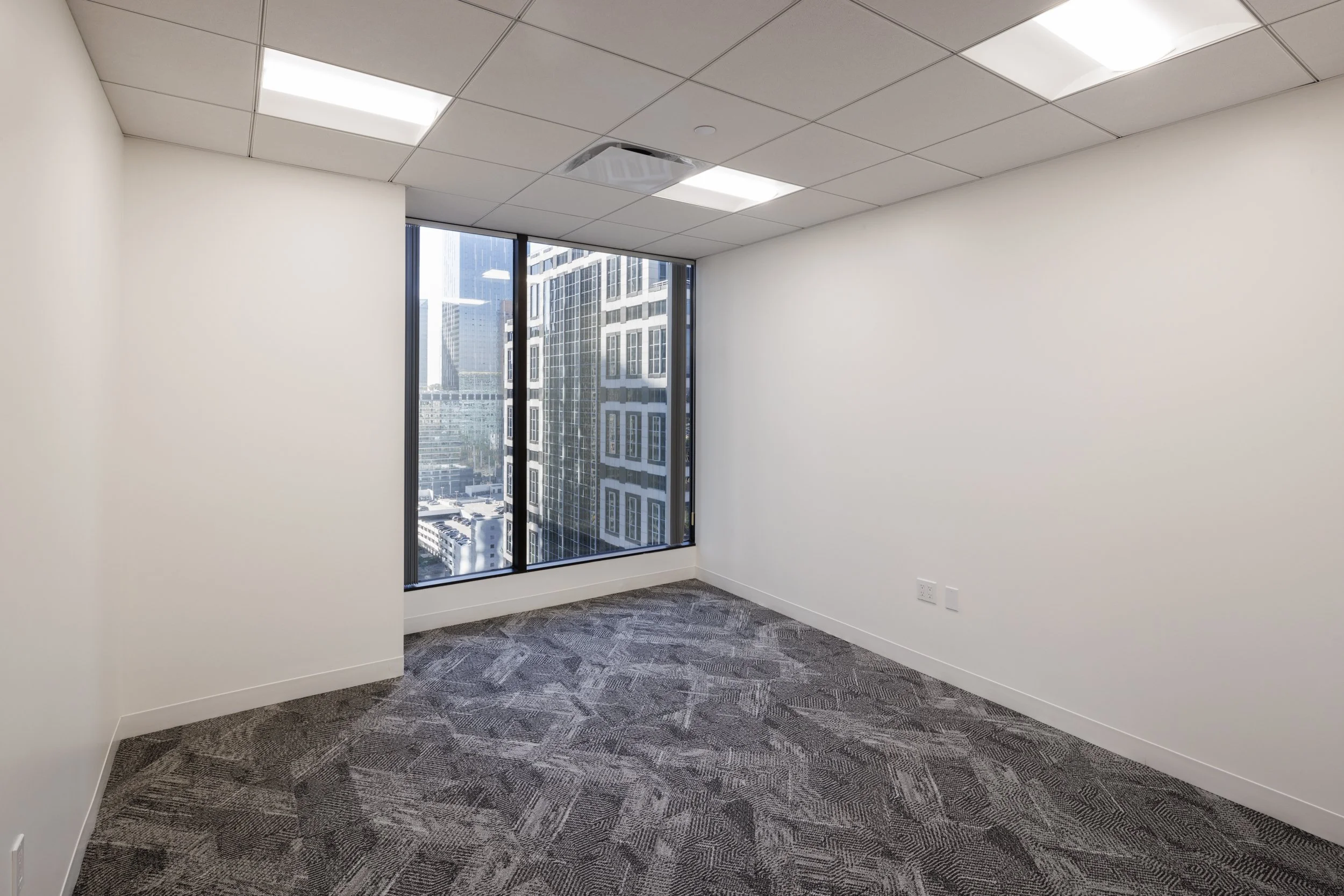 Ⓒ2024 RMS_7M4A3468_1780.JPG