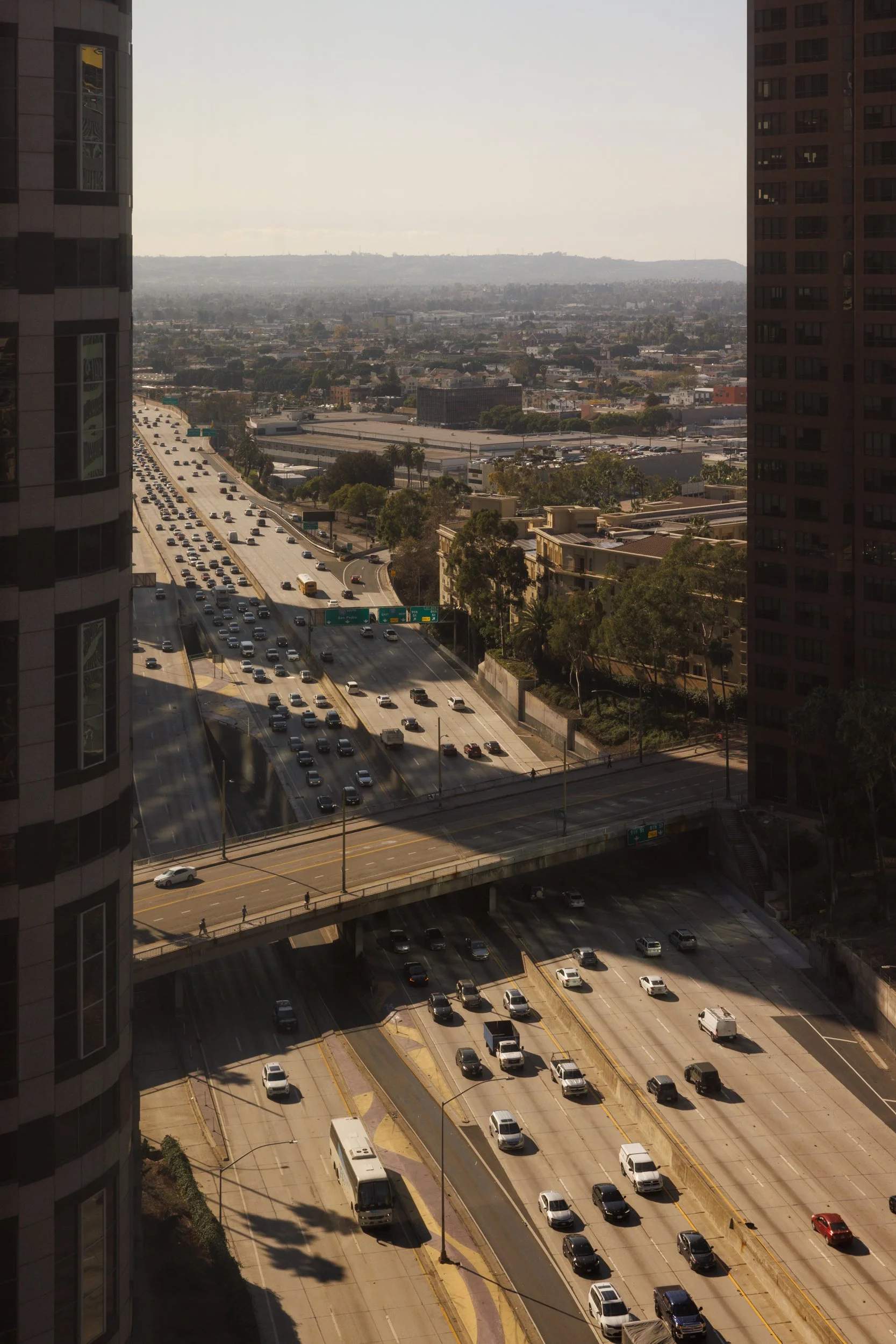 Ⓒ2024 RMS_7M4A3509_1725.JPG