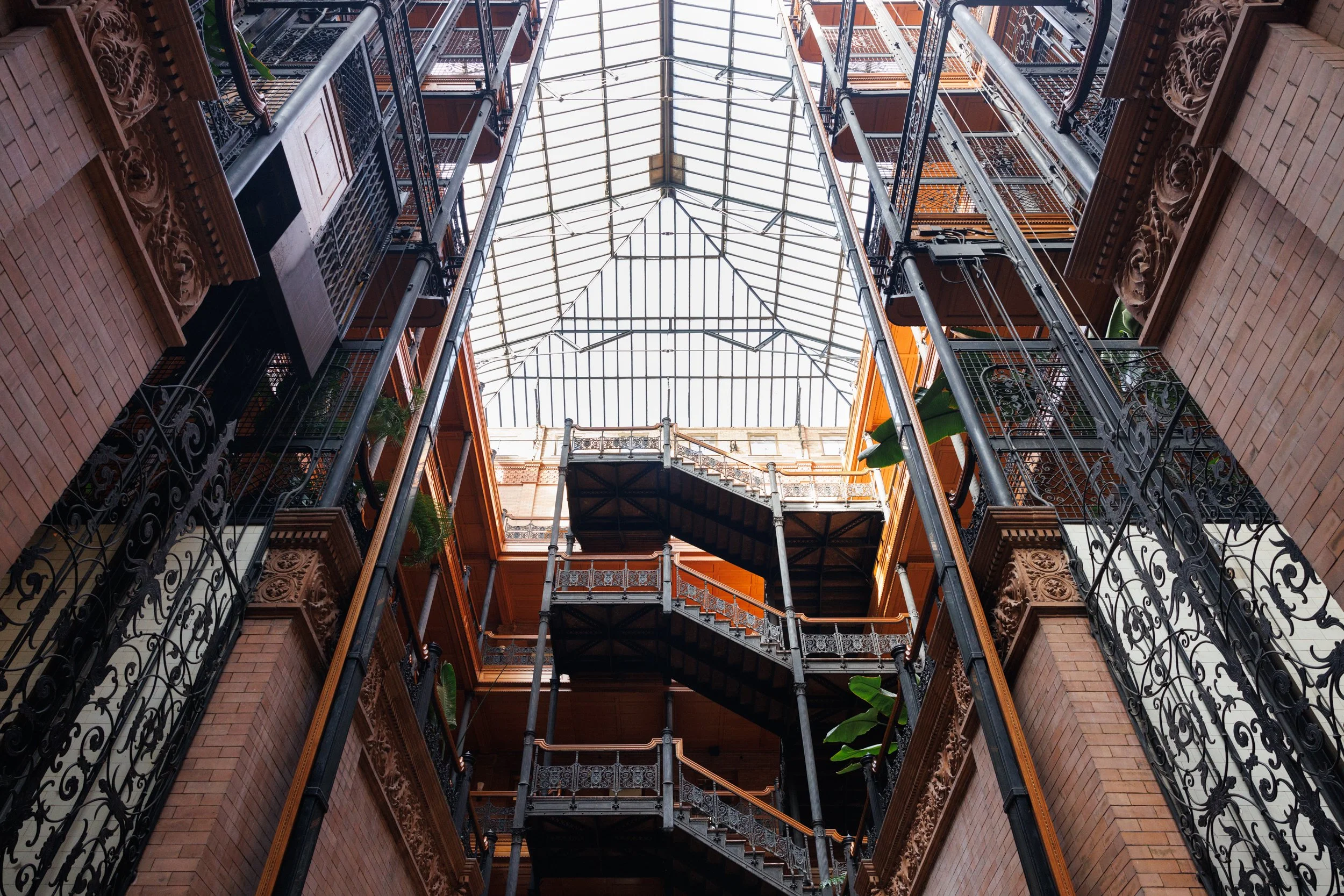 BRADBURY_Ⓒ2024 RMS_7M4A3083.JPG