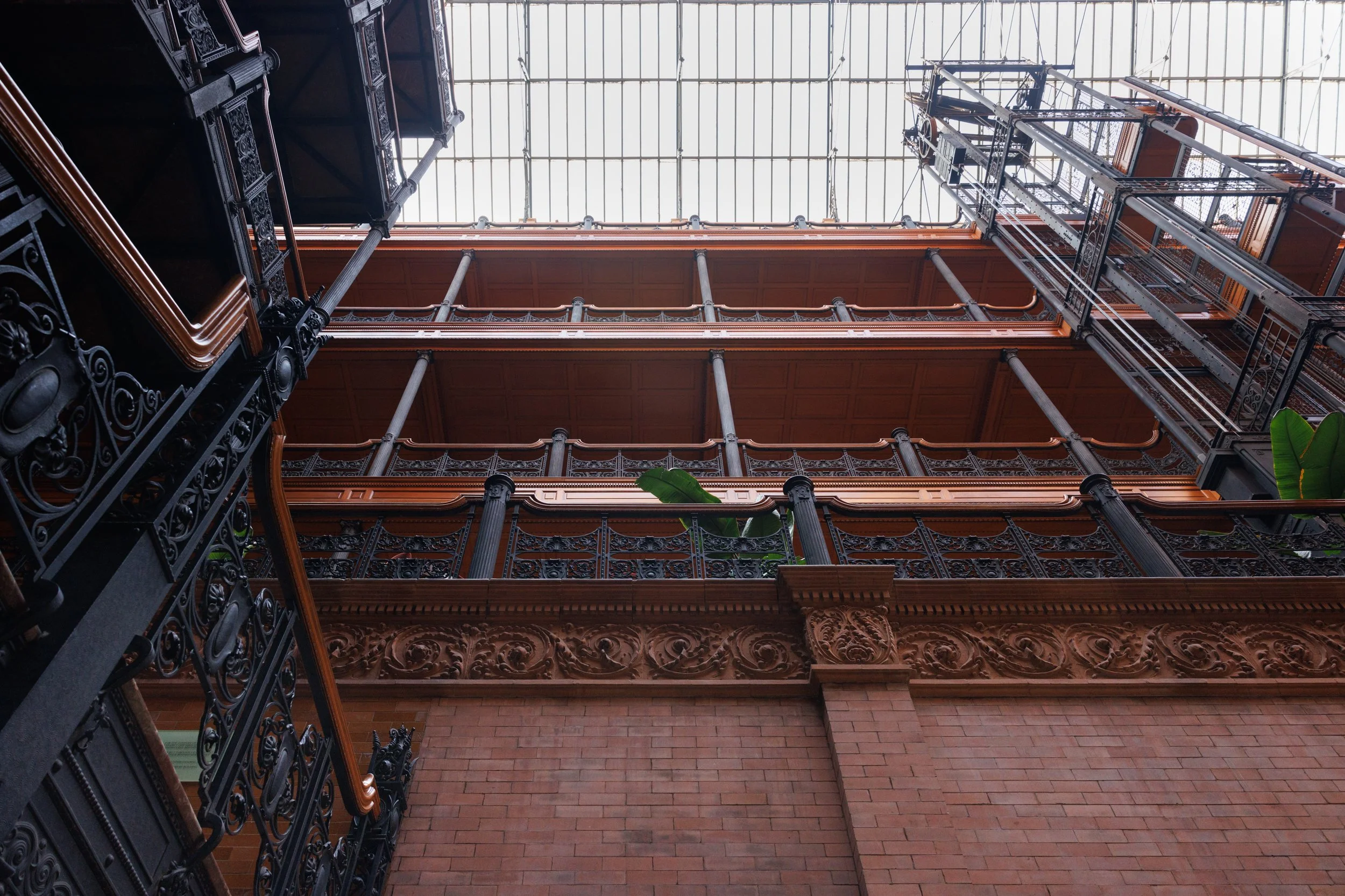 BRADBURY_Ⓒ2024 RMS_7M4A3093.JPG