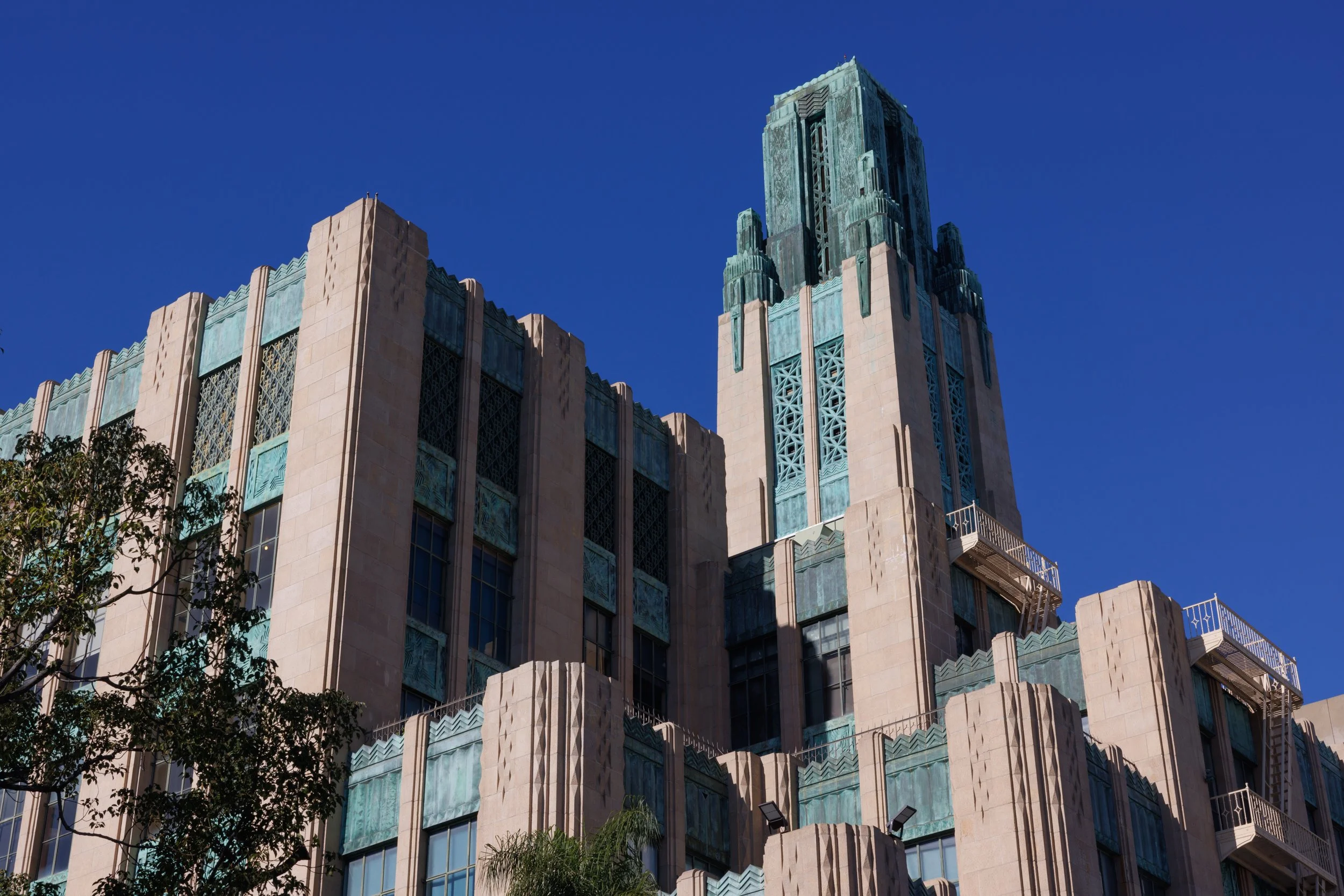 BULLOCKS_Ⓒ2024 RMS_7M4A3680.JPG