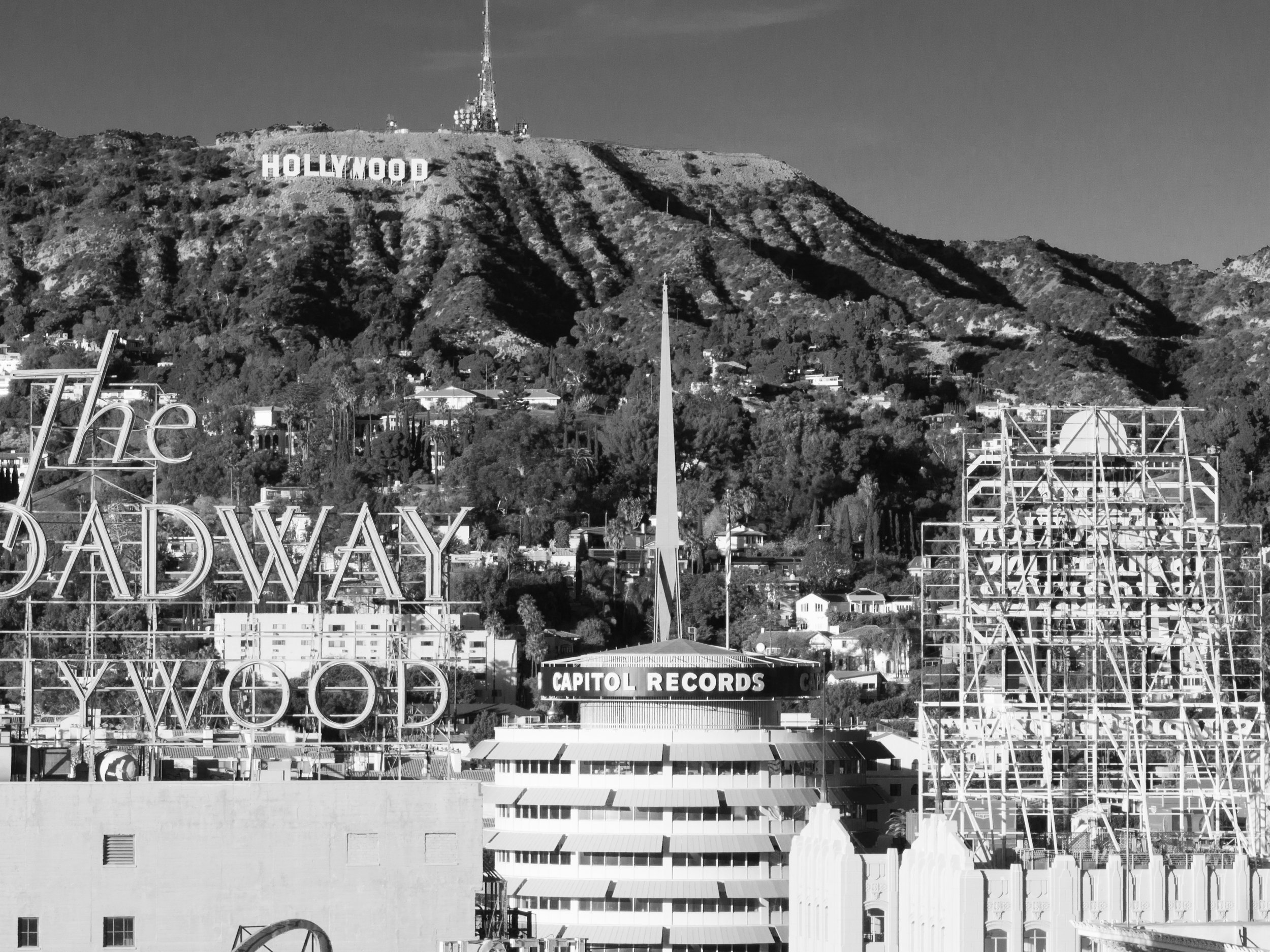 CAP RECORDS_Ⓒ2024 RMS_DJI_0690.JPG