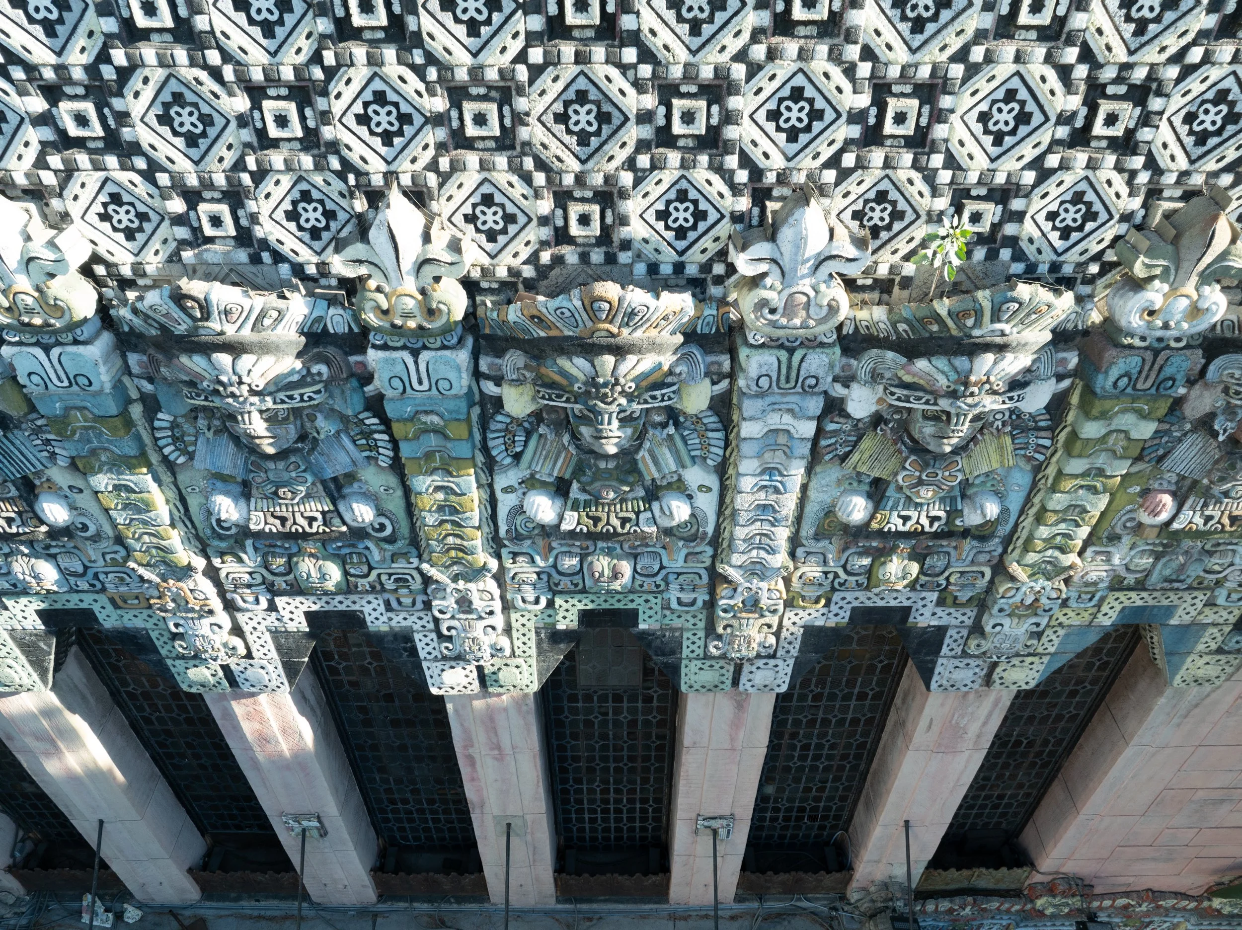 CRYPTO_Ⓒ2024 RMS_DJI_0616.JPG