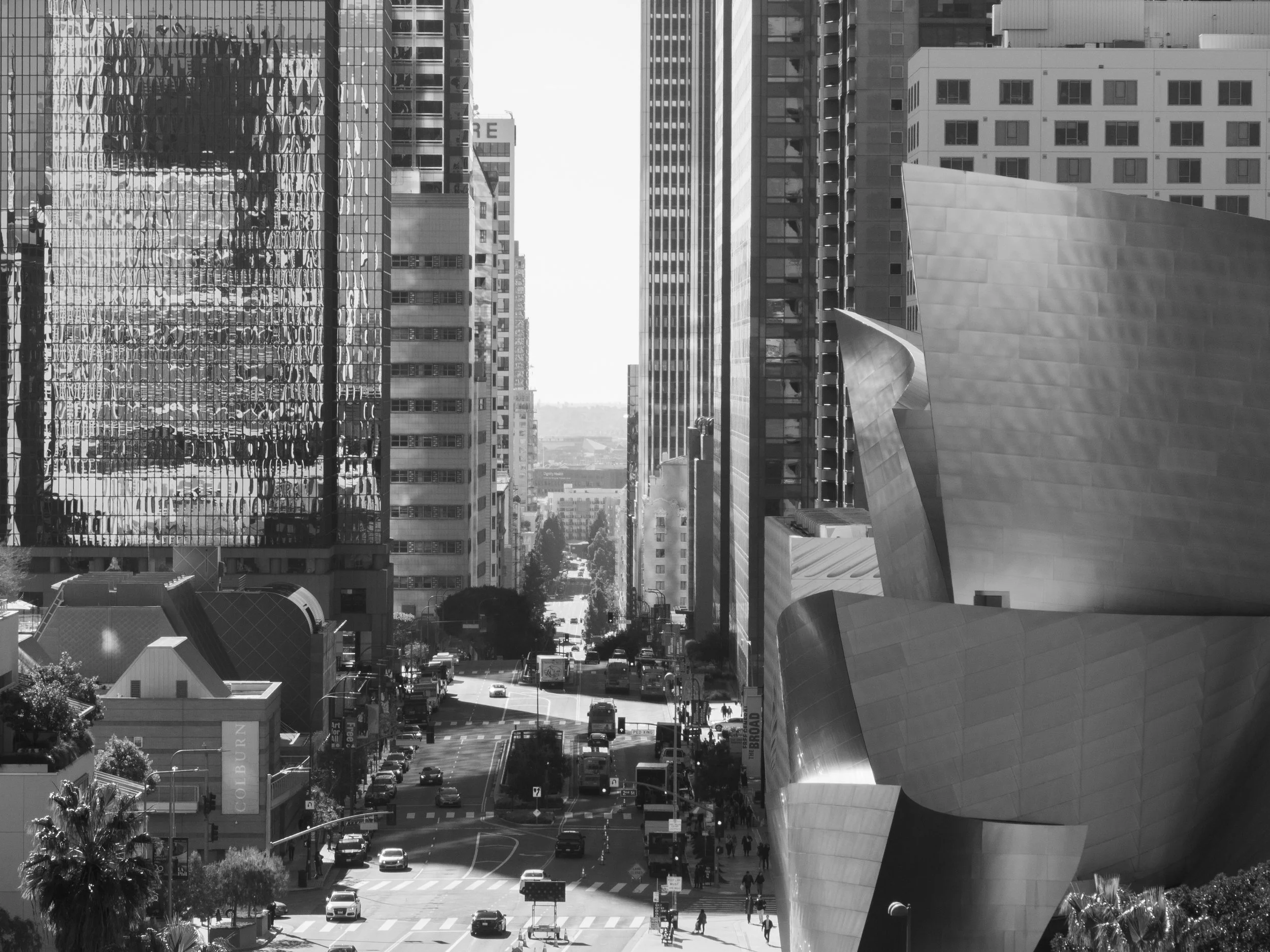 DISNEY_Ⓒ2024 RMS_0486.JPG