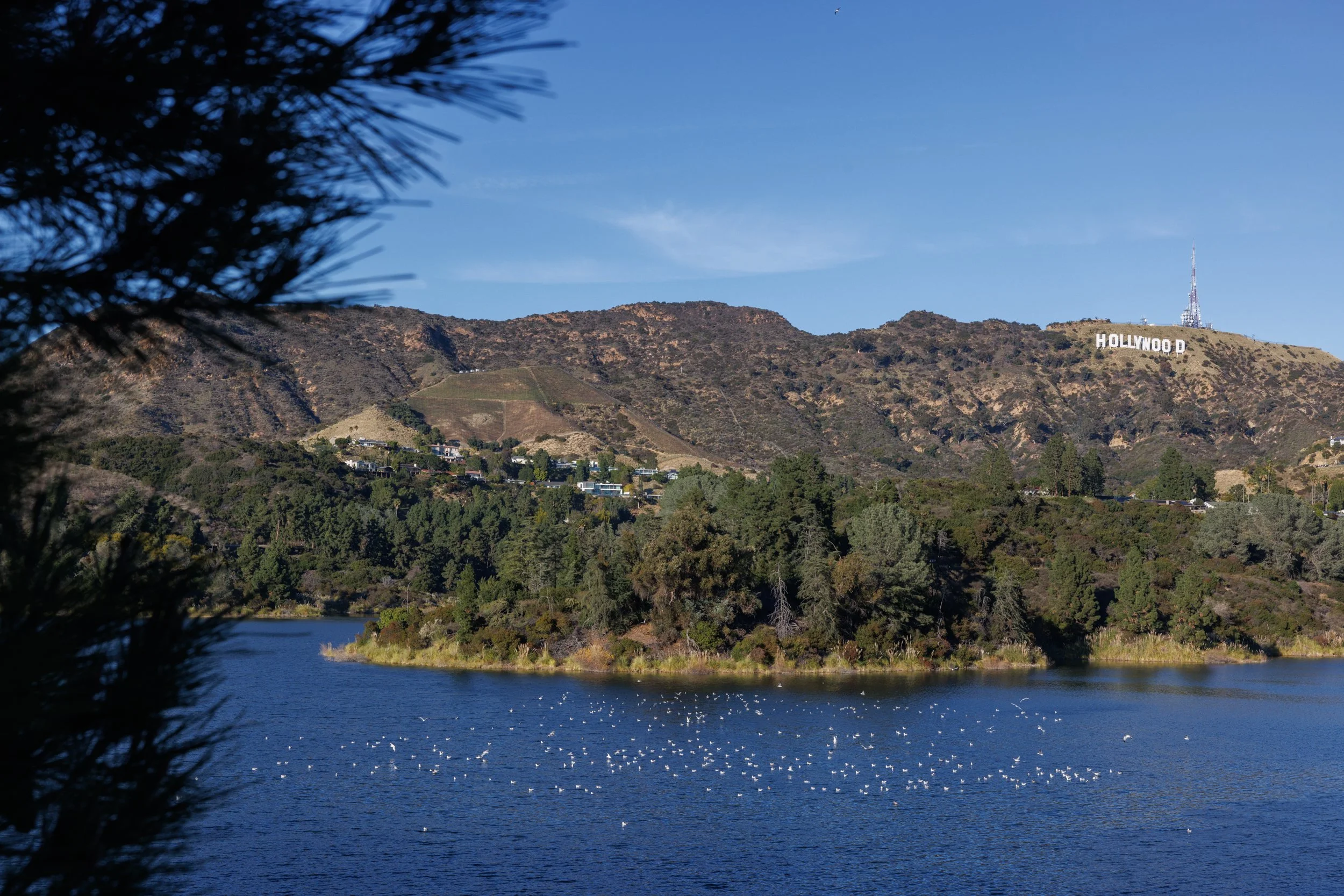 H RESERVOIR_Ⓒ2024 RMS_7M4A3754.JPG