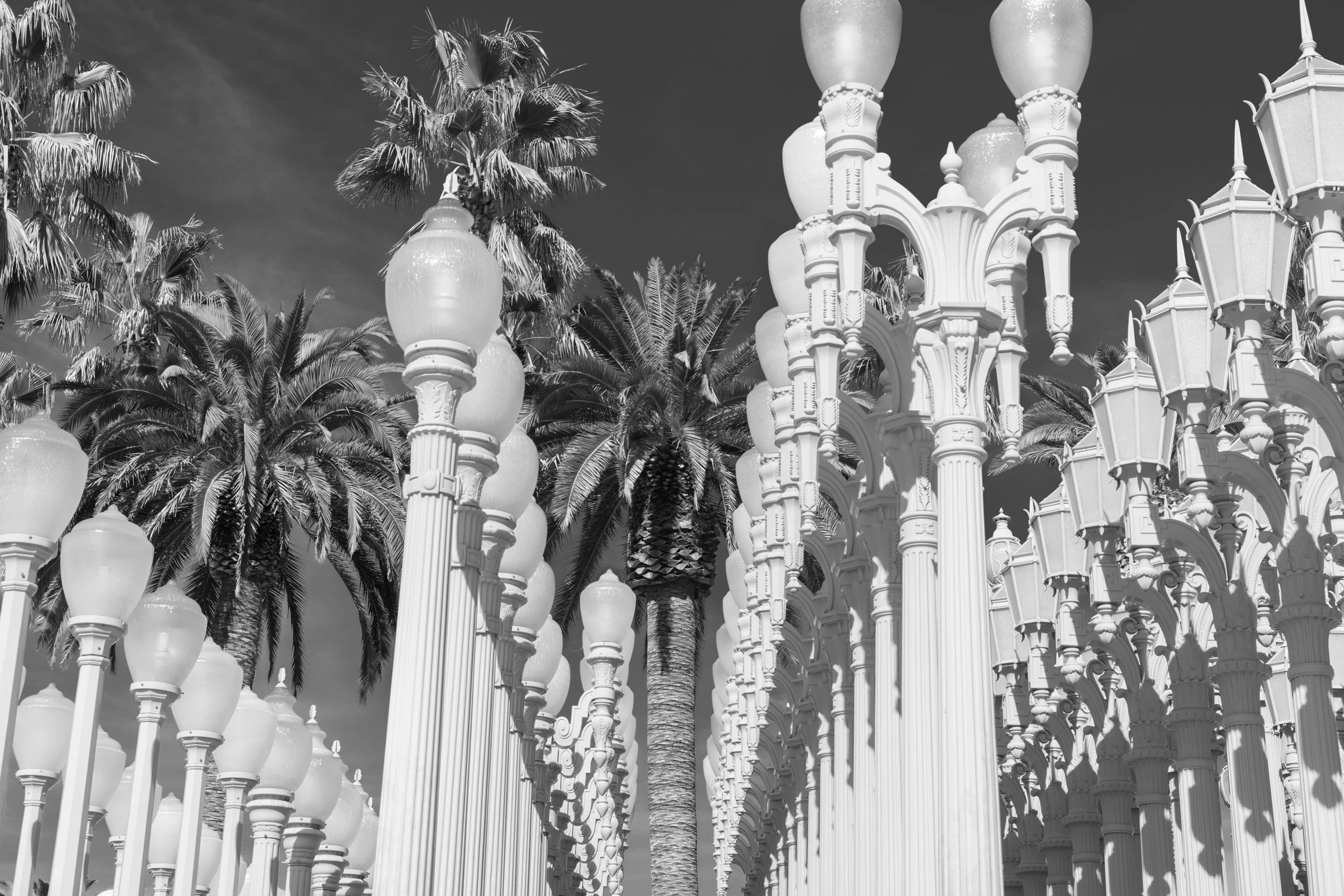 LACMA_Ⓒ2024 RMS_7M4A4133.JPG