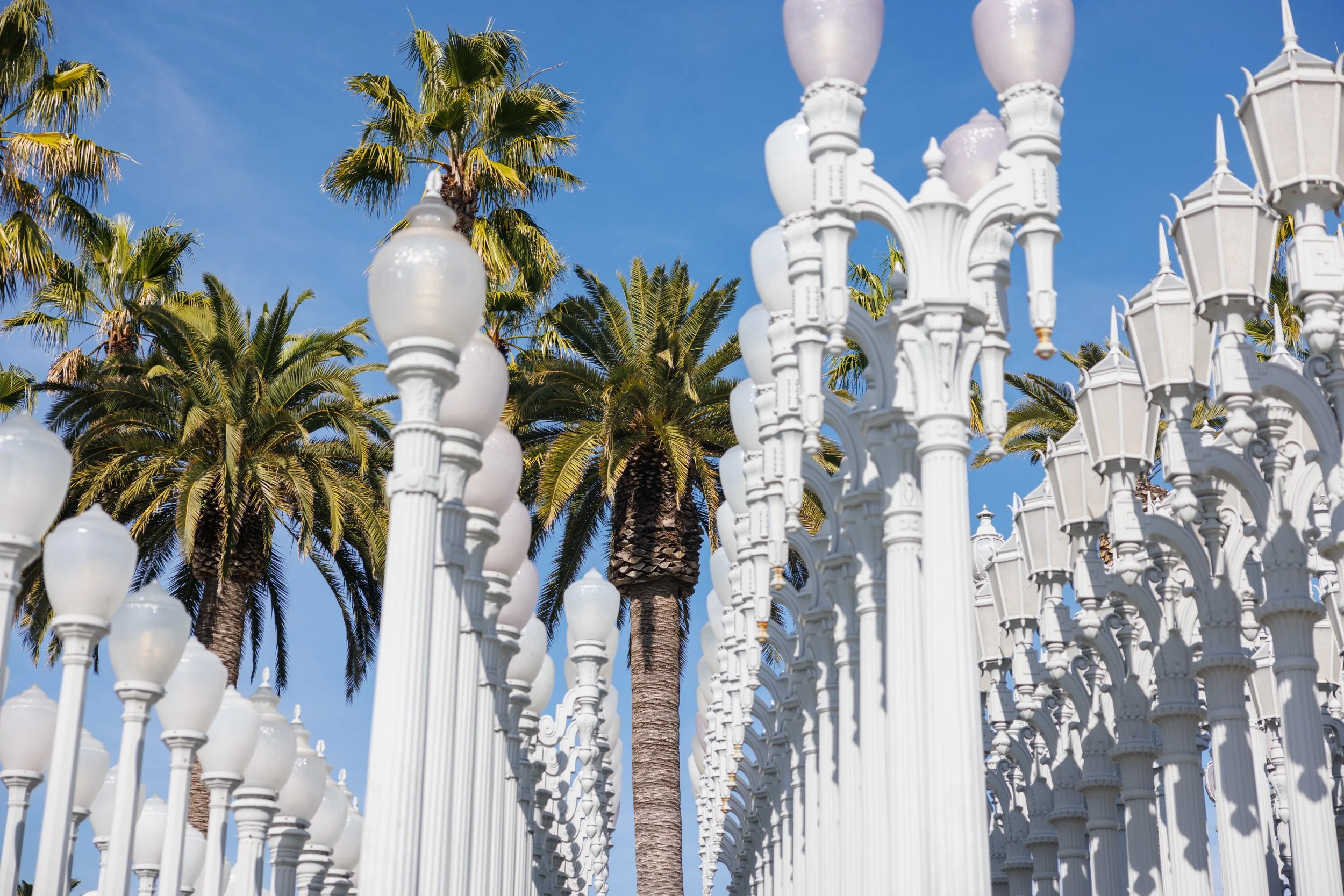 LACMA_Ⓒ2024 RMS_7M4A4132.JPG