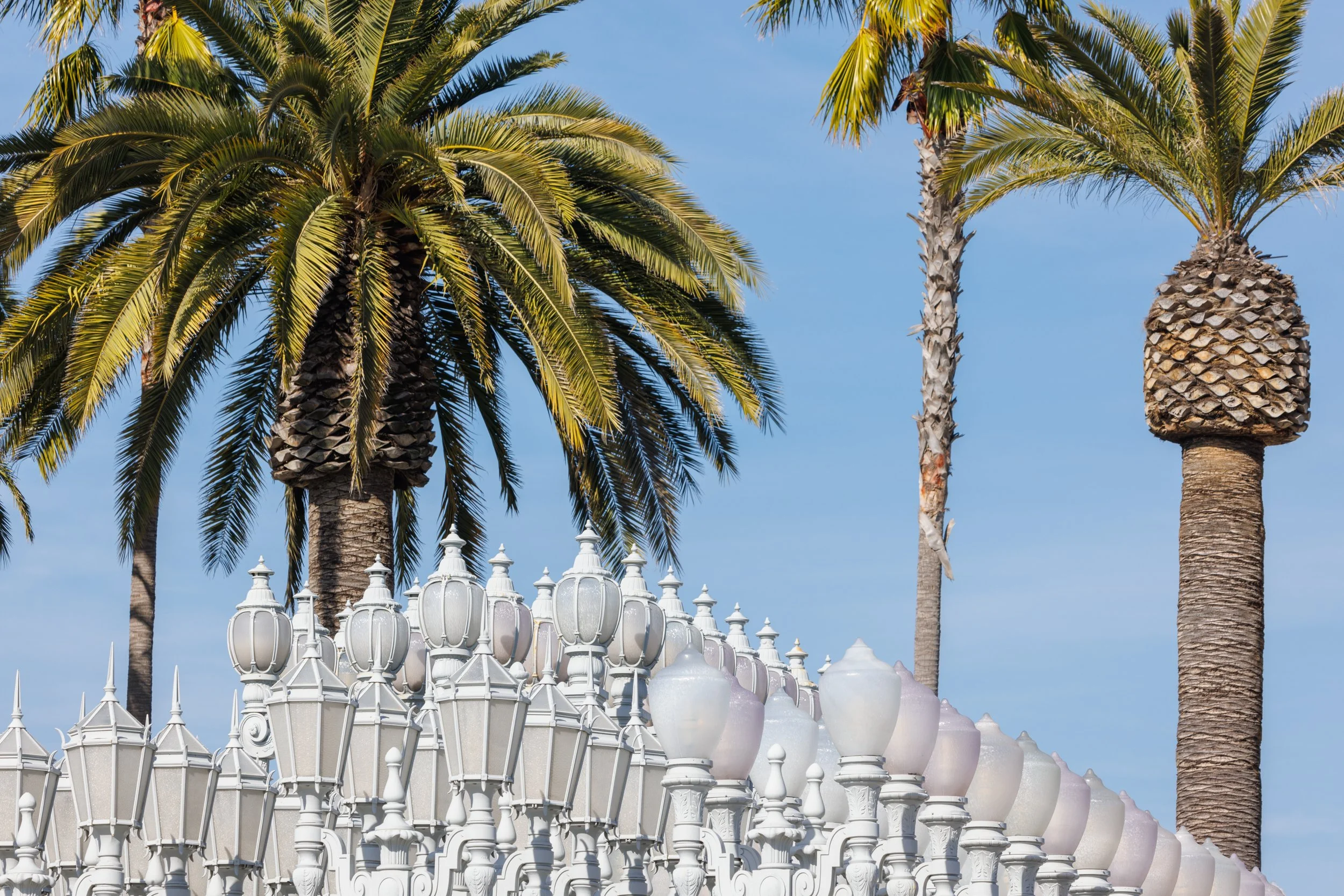 LACMA_Ⓒ2024 RMS_7M4A4136.JPG