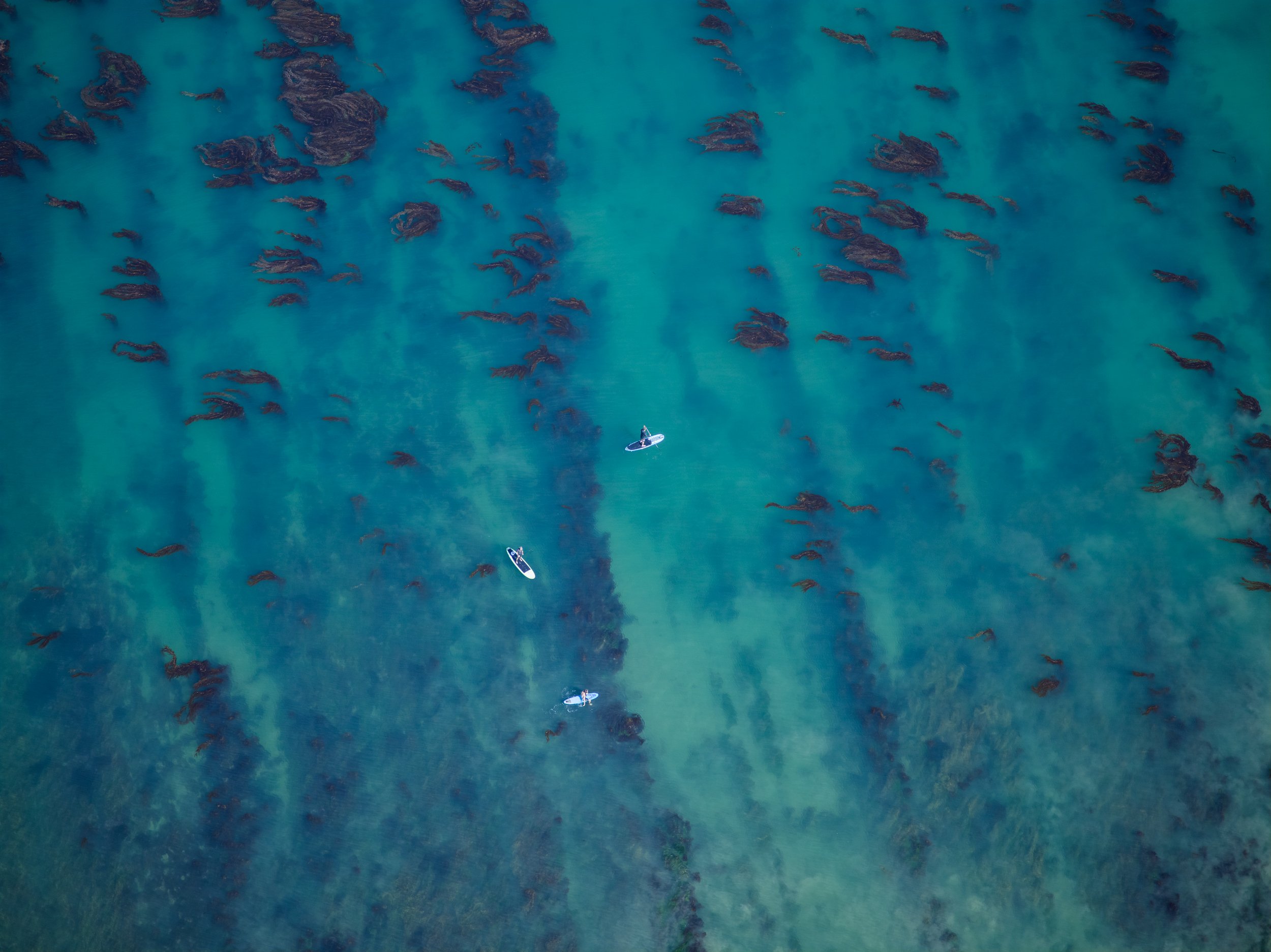 MALIBU_Ⓒ2024 RMS_CF022102.JPG