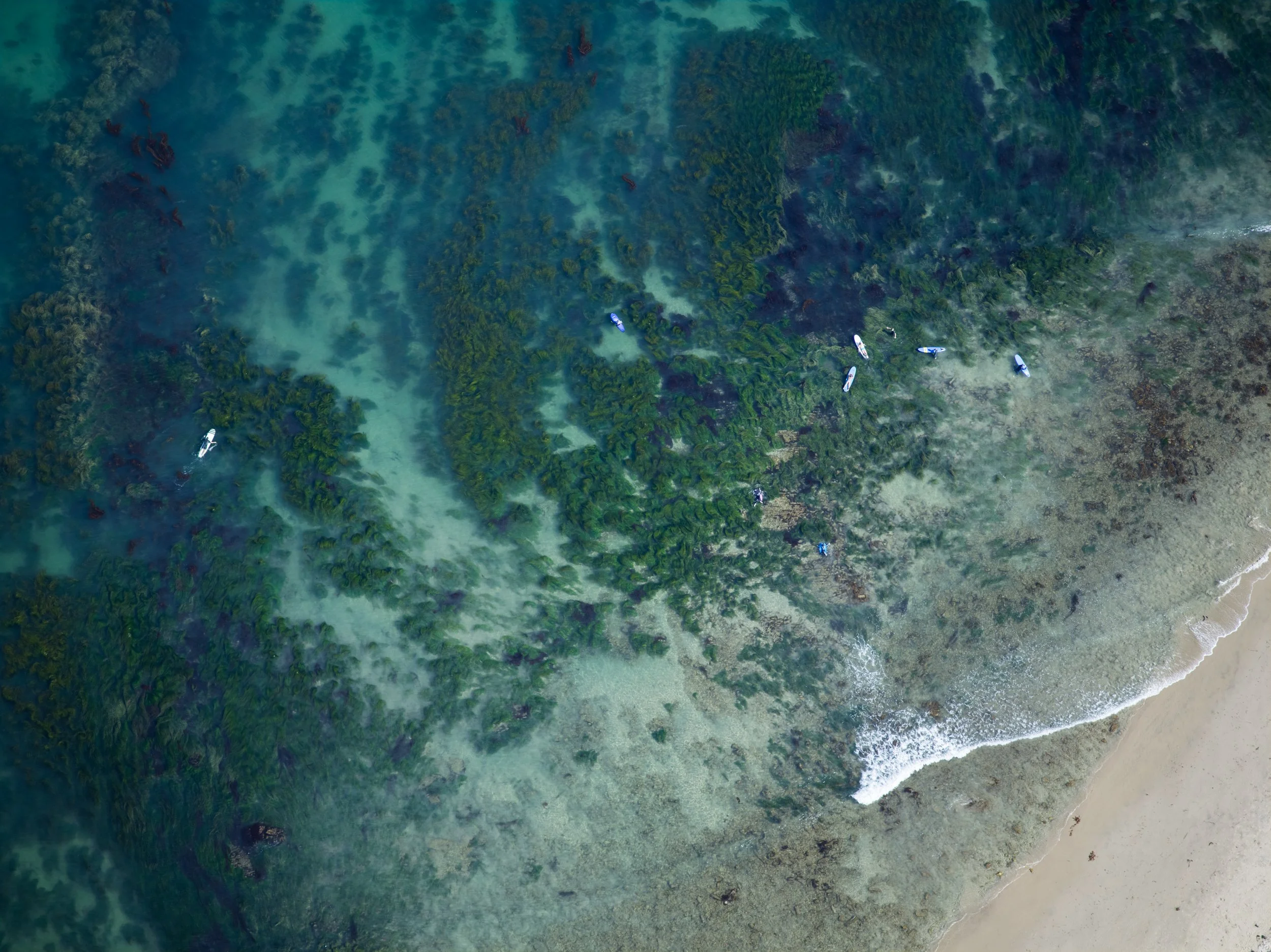 MALIBU_Ⓒ2024 RMS_CF022111.JPG