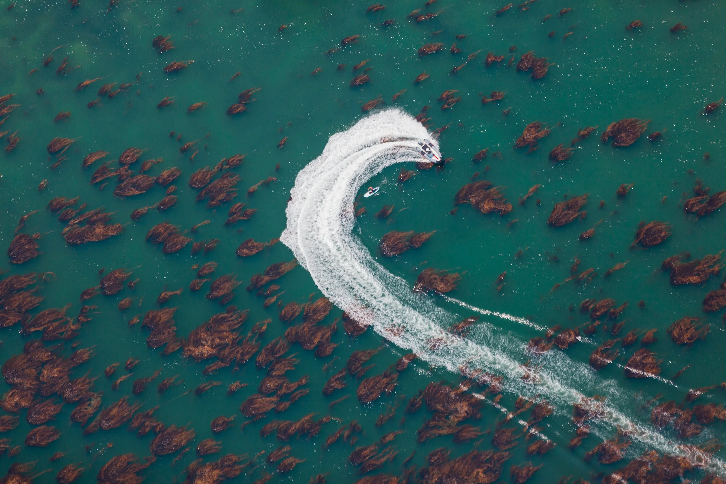 MALIBU_Ⓒ2024 RMS_IMG_6172.JPG