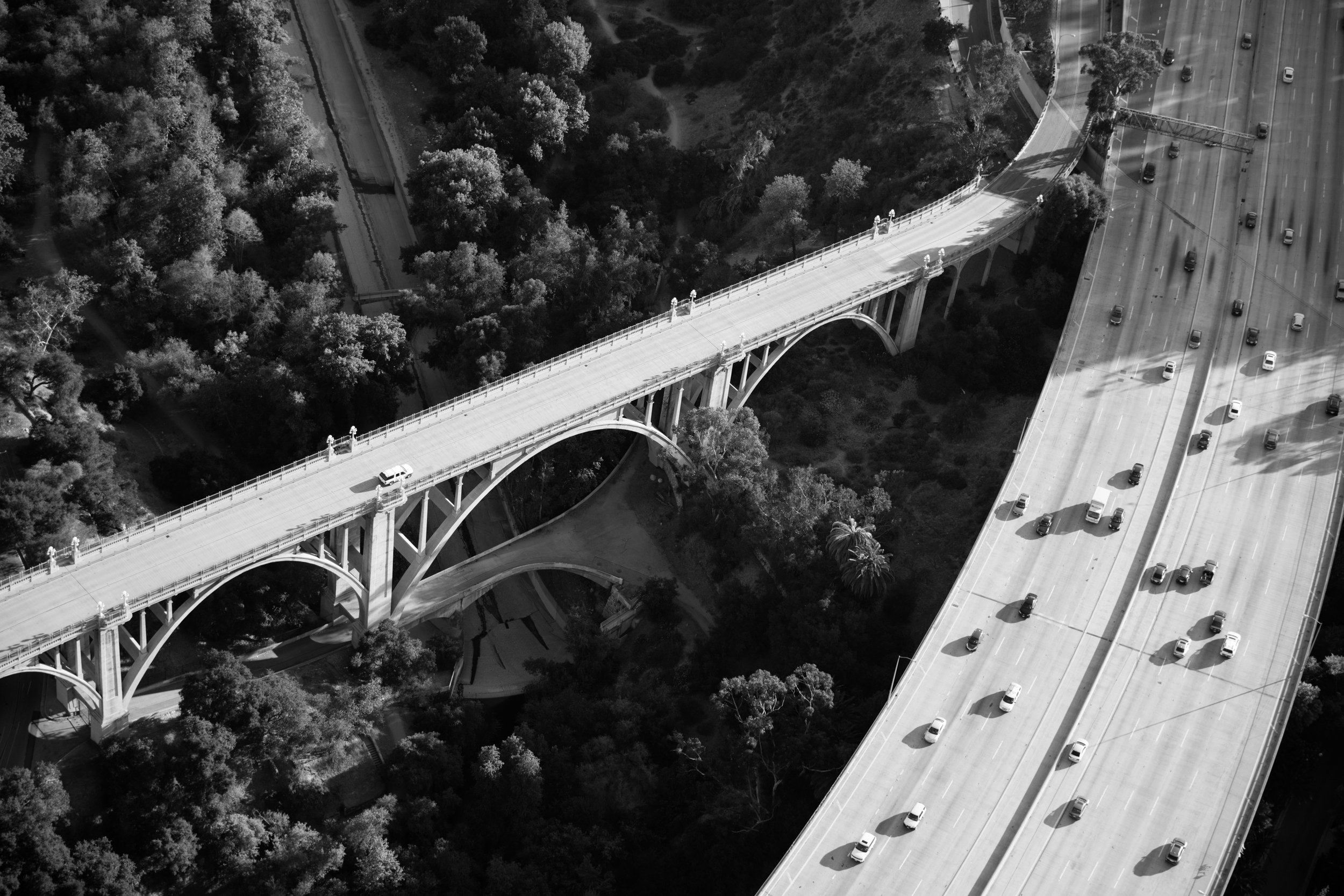 PASADENA_Ⓒ2024 RMS_3G2A0062.JPG