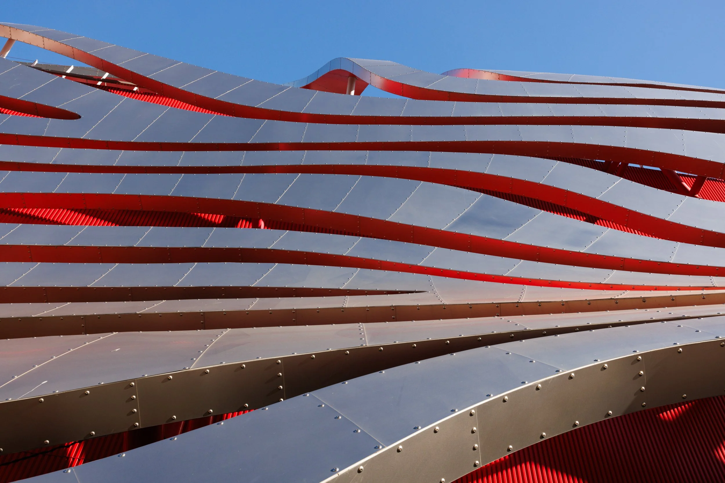 PETERSEN_Ⓒ2024 RMS_7M4A3744.JPG