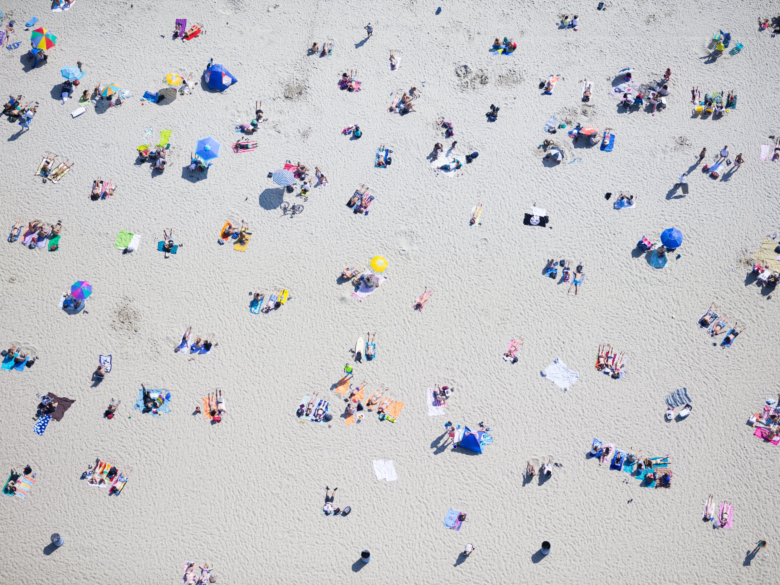 SANTA MONICA_Ⓒ2024 RMS_CF022300.JPG