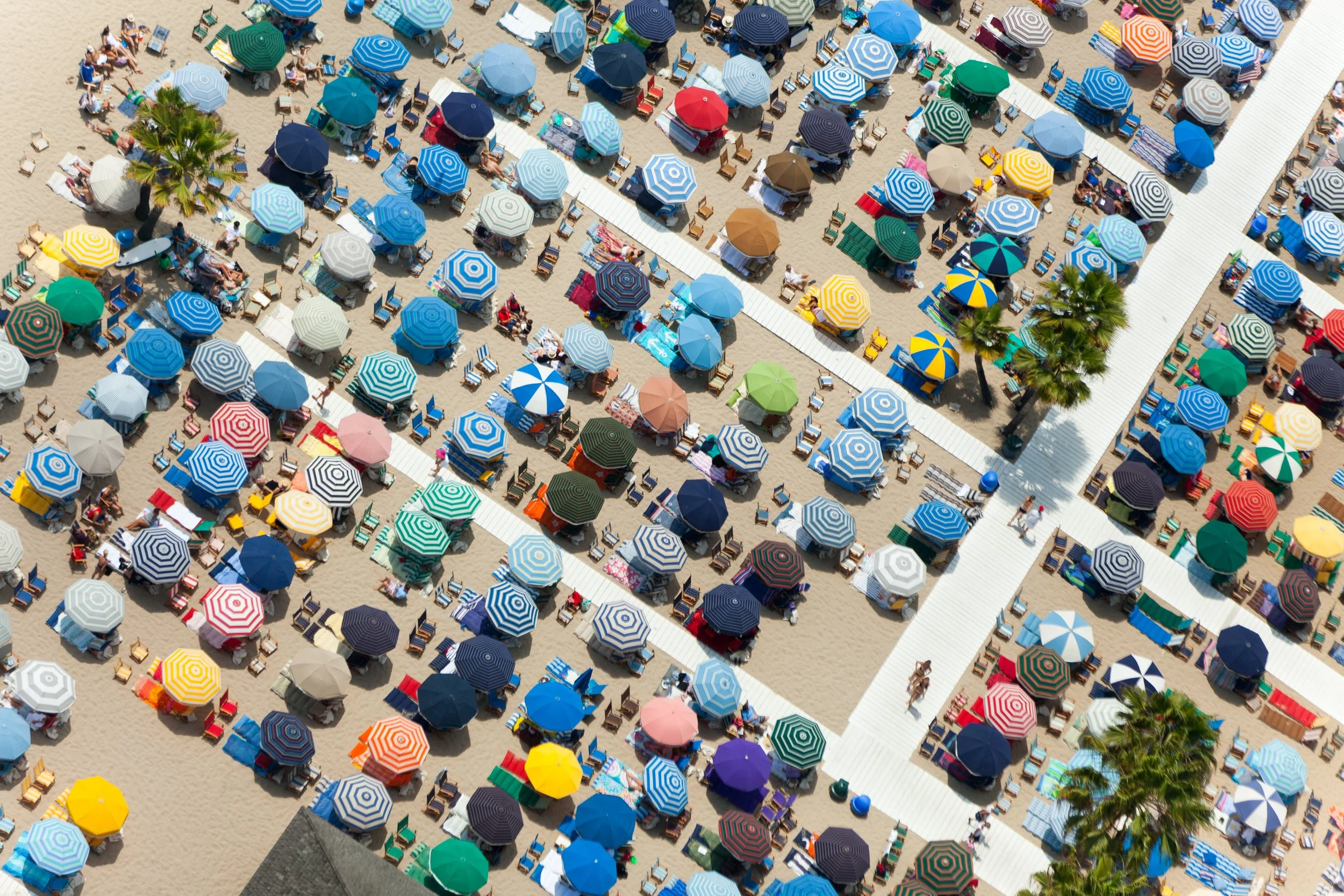 SANTA MONICA_Ⓒ2024 RMS_IMG_6324.JPG