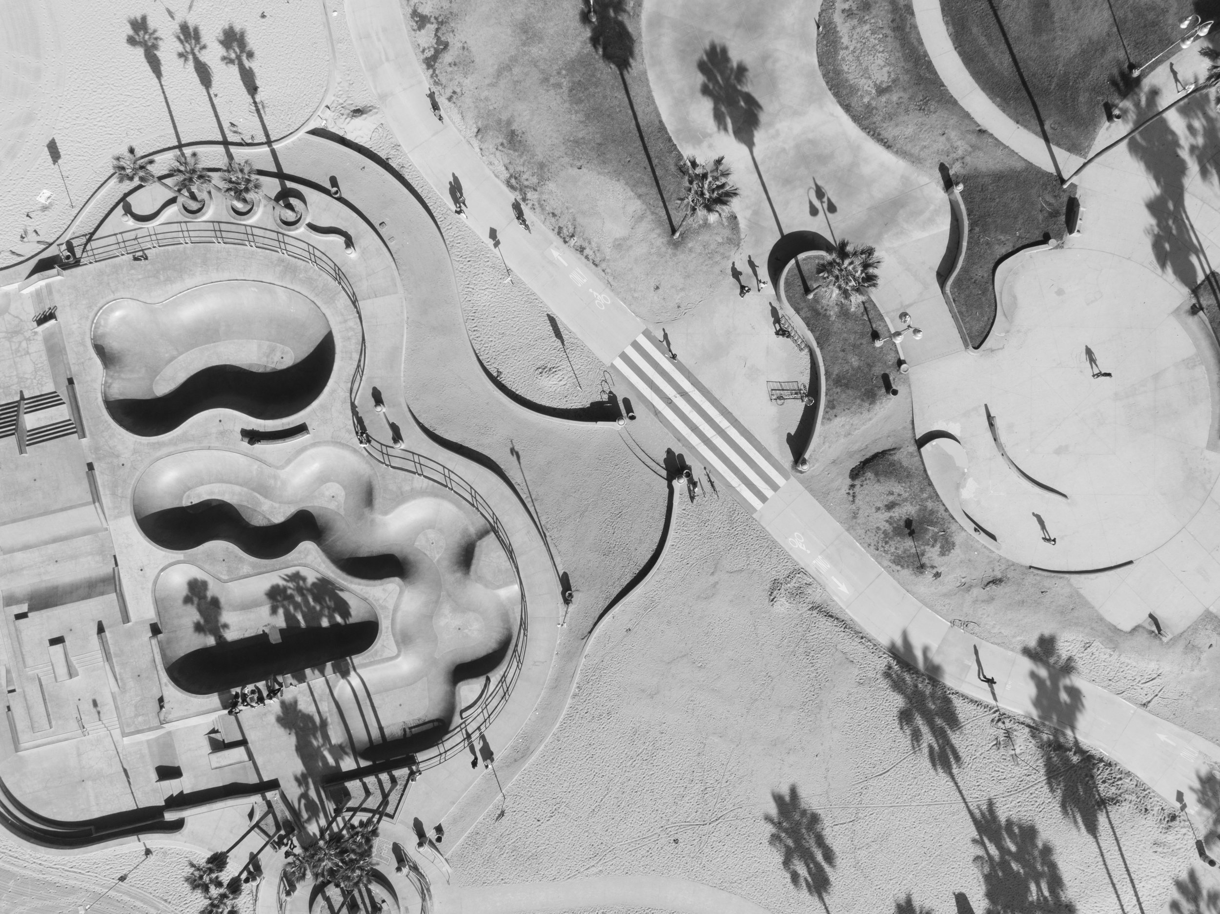 VENICE_Ⓒ2024 RMS_DJI_0737.JPG