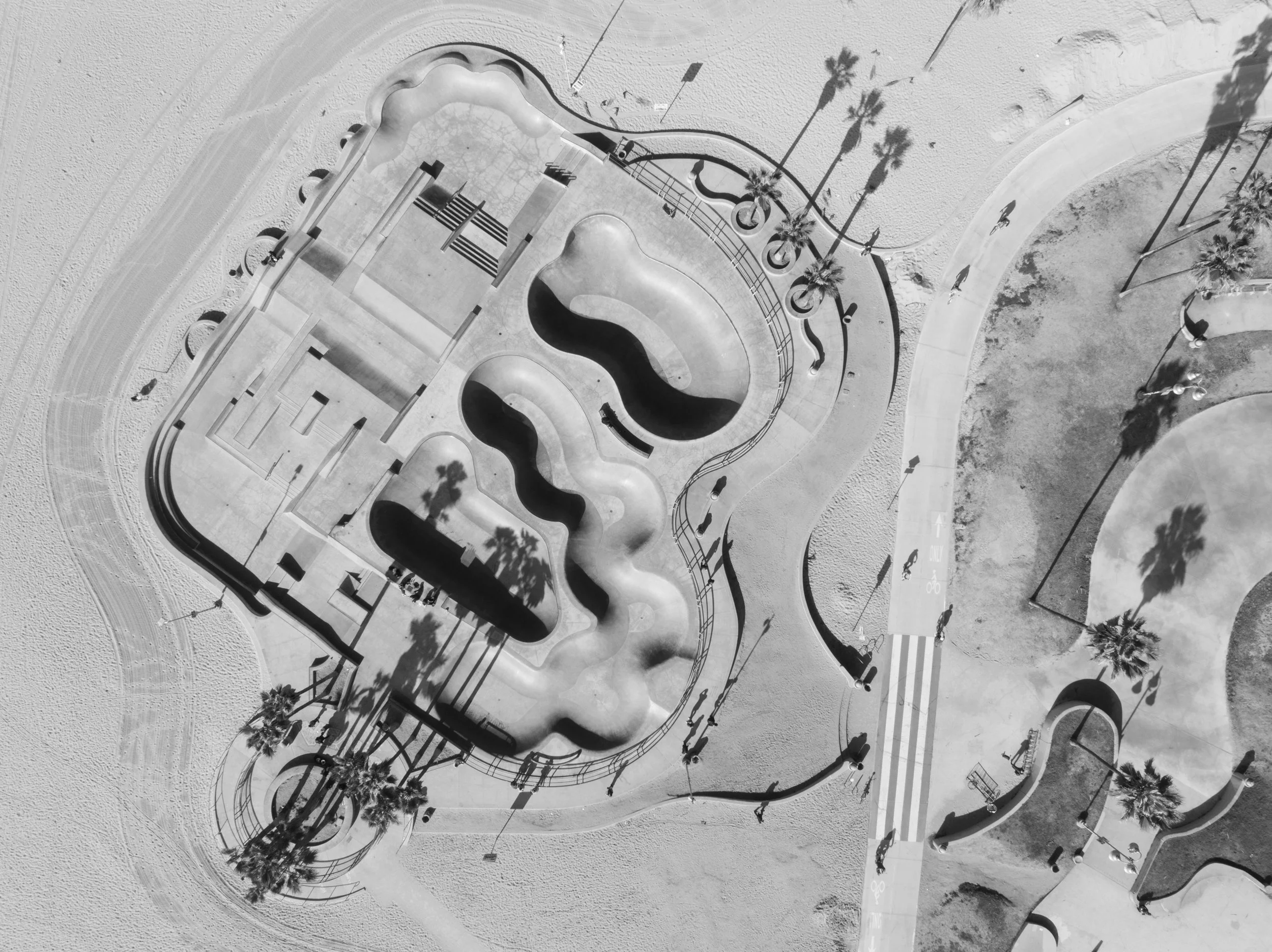 VENICE_Ⓒ2024 RMS_DJI_0741.JPG