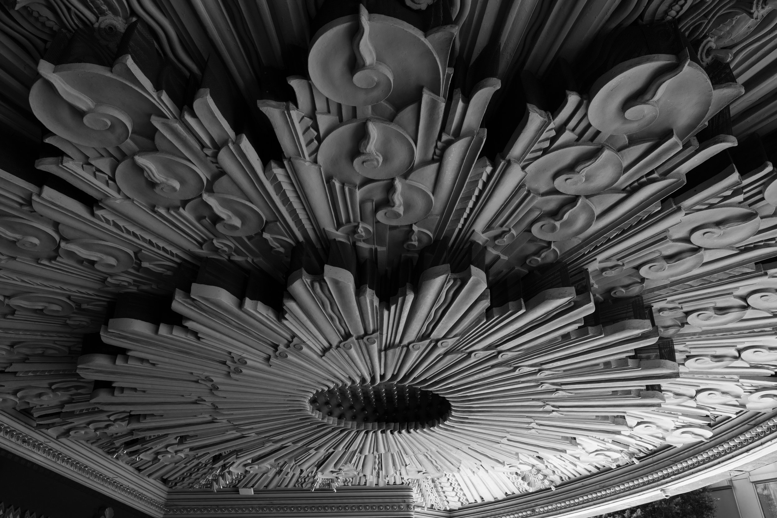 WILTERN_Ⓒ2024 RMS_7M4A3692.JPG