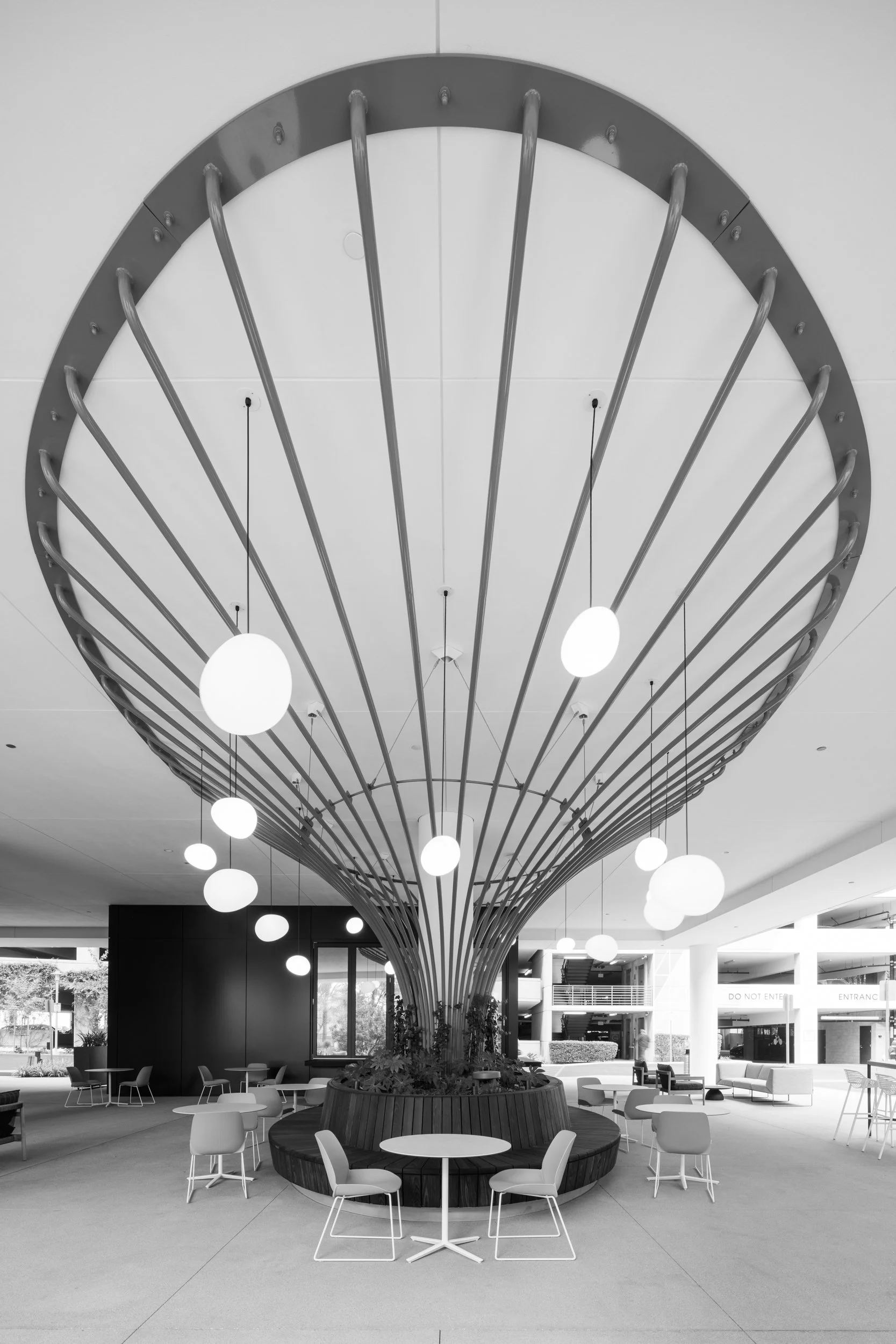 Ⓒ2024 RMS_7M4A4867.JPG