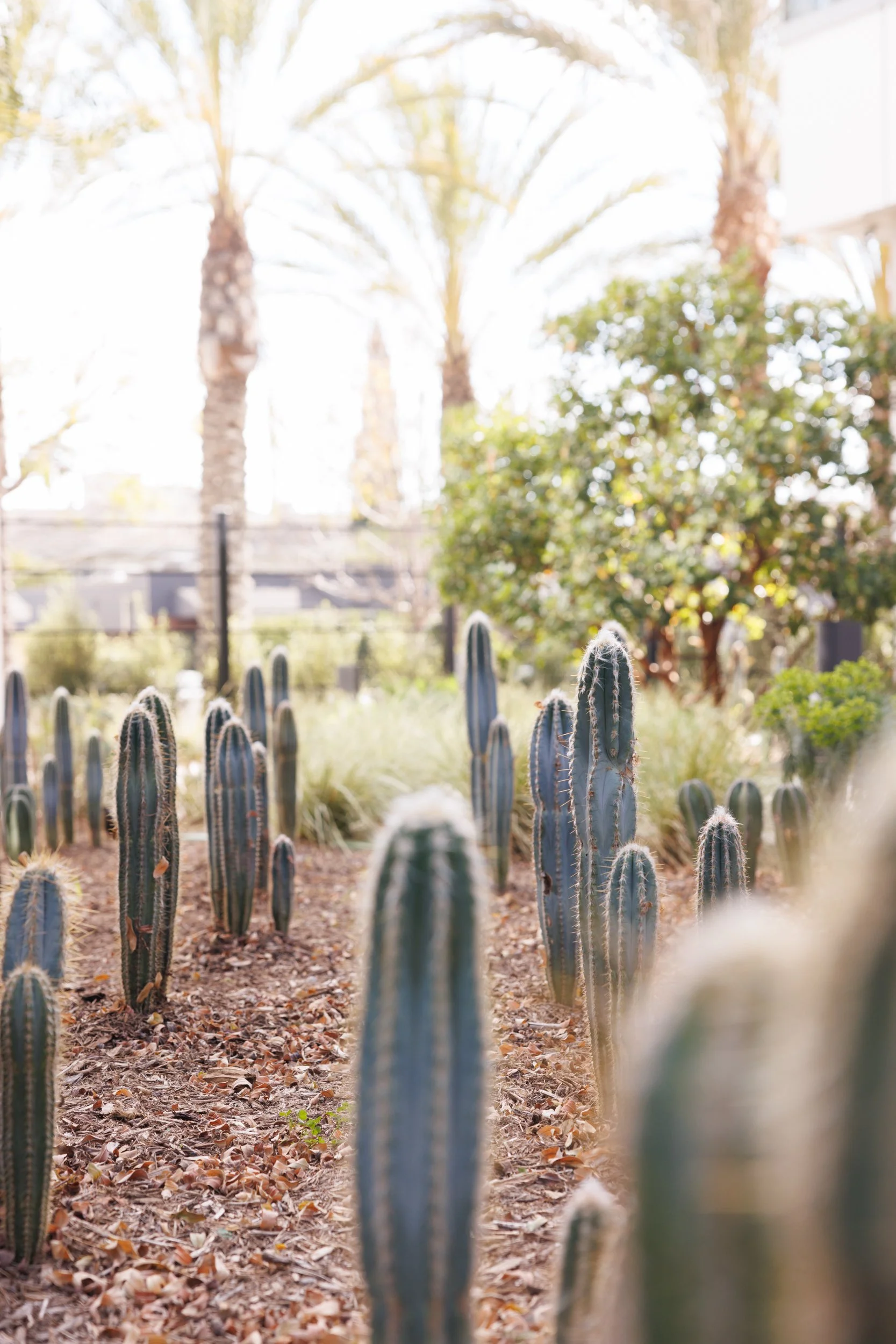 Ⓒ2024 RMS_7M4A5049.JPG