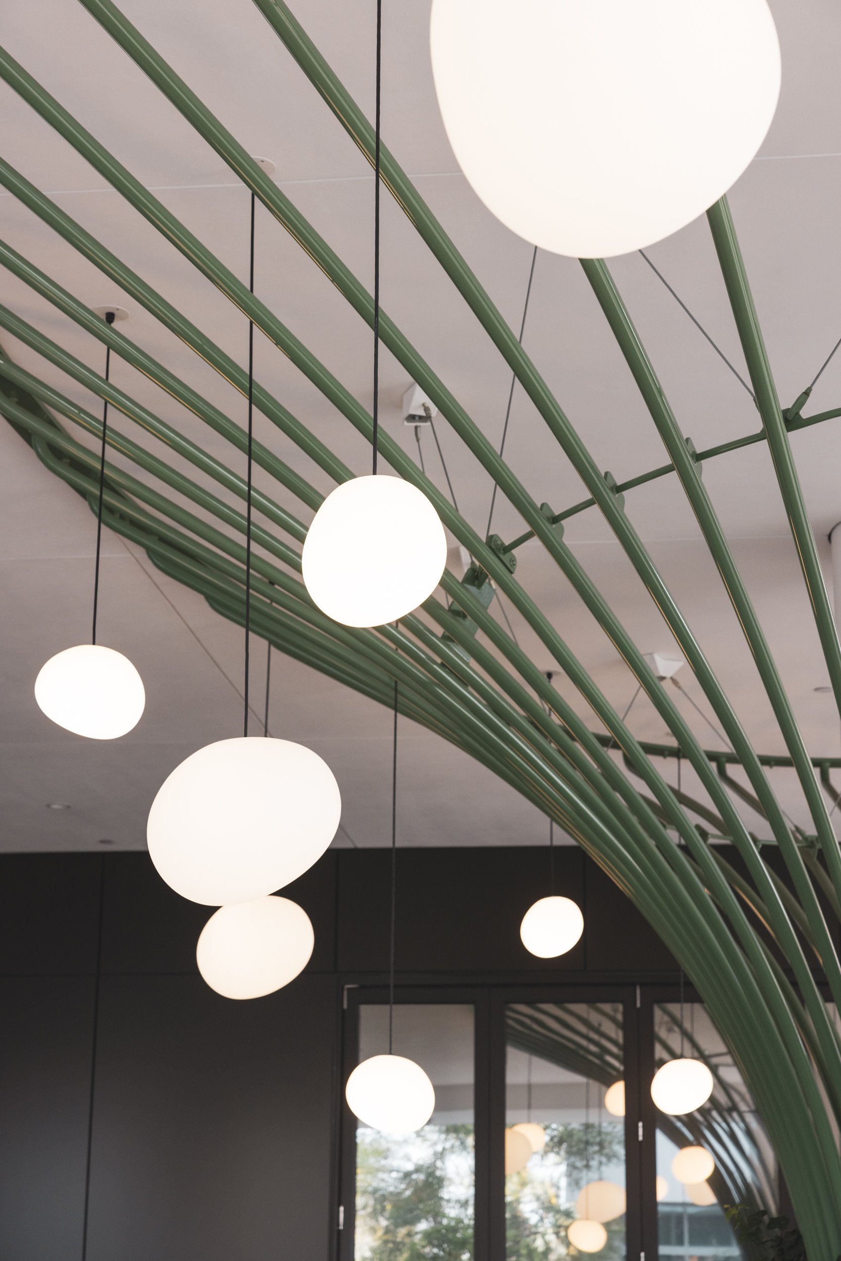 Ⓒ2024 RMS_7M4A5069.JPG