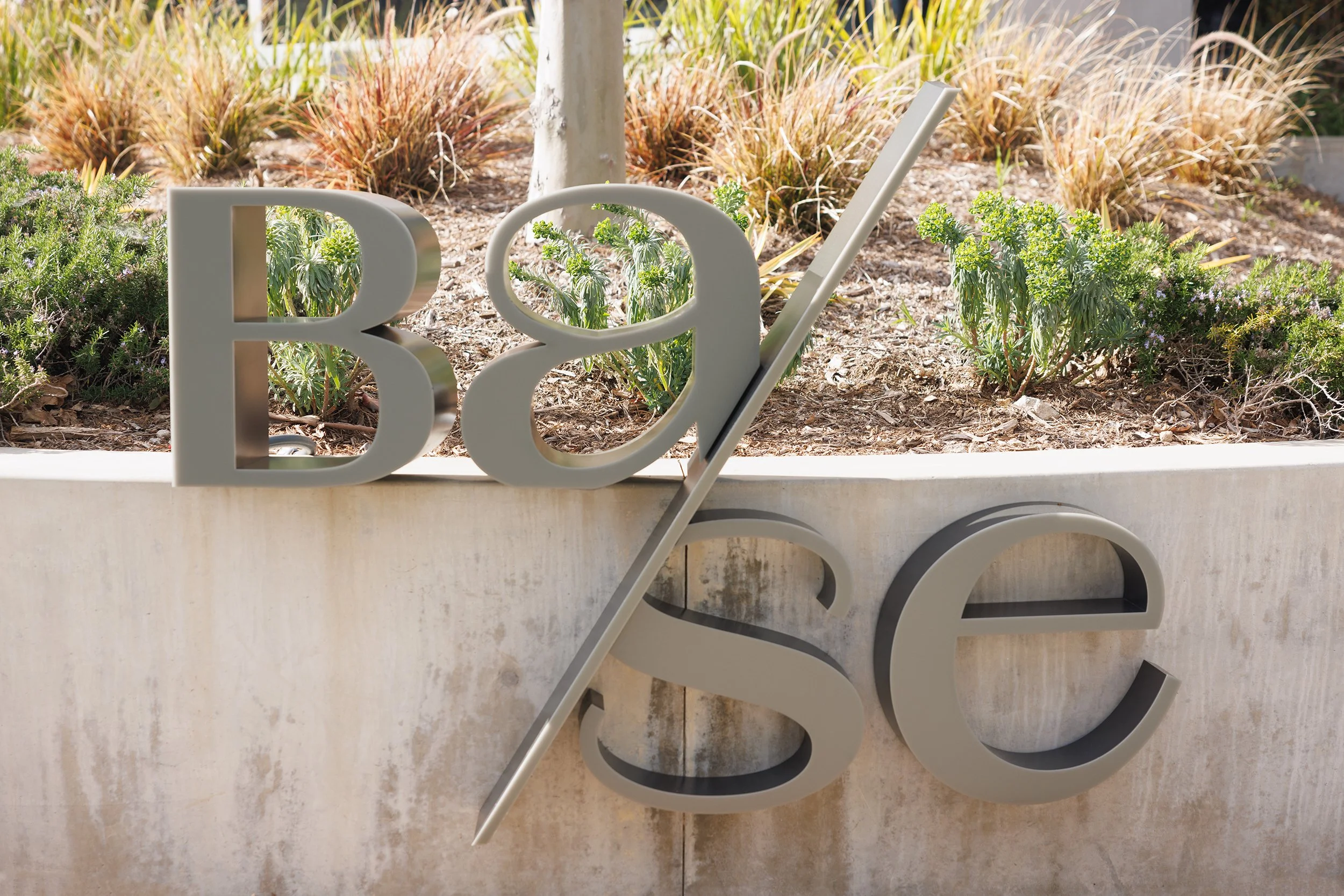 Ⓒ2024 RMS_7M4A5090.JPG