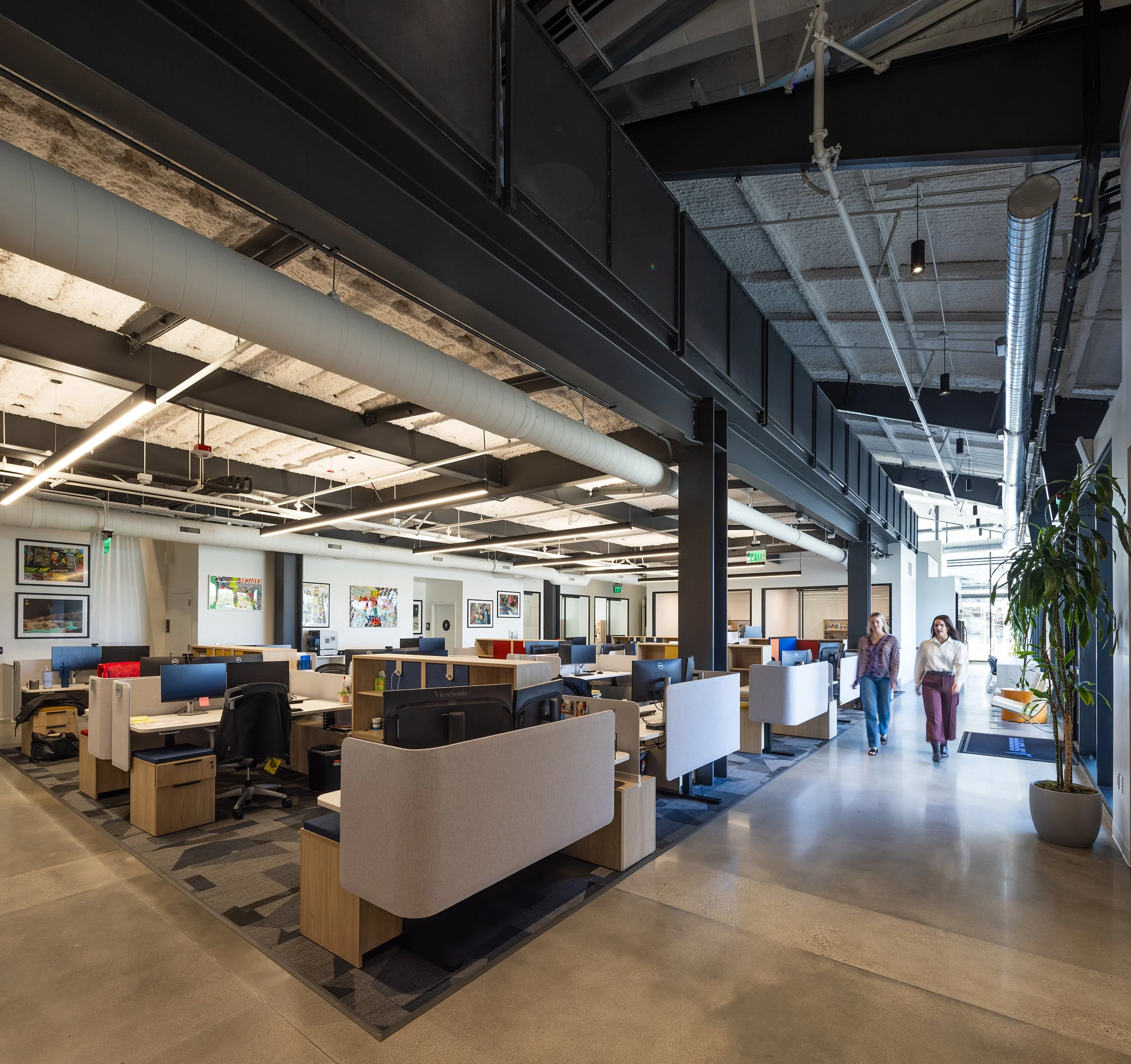 Ⓒ2024 RMS_7M4A4232.JPG