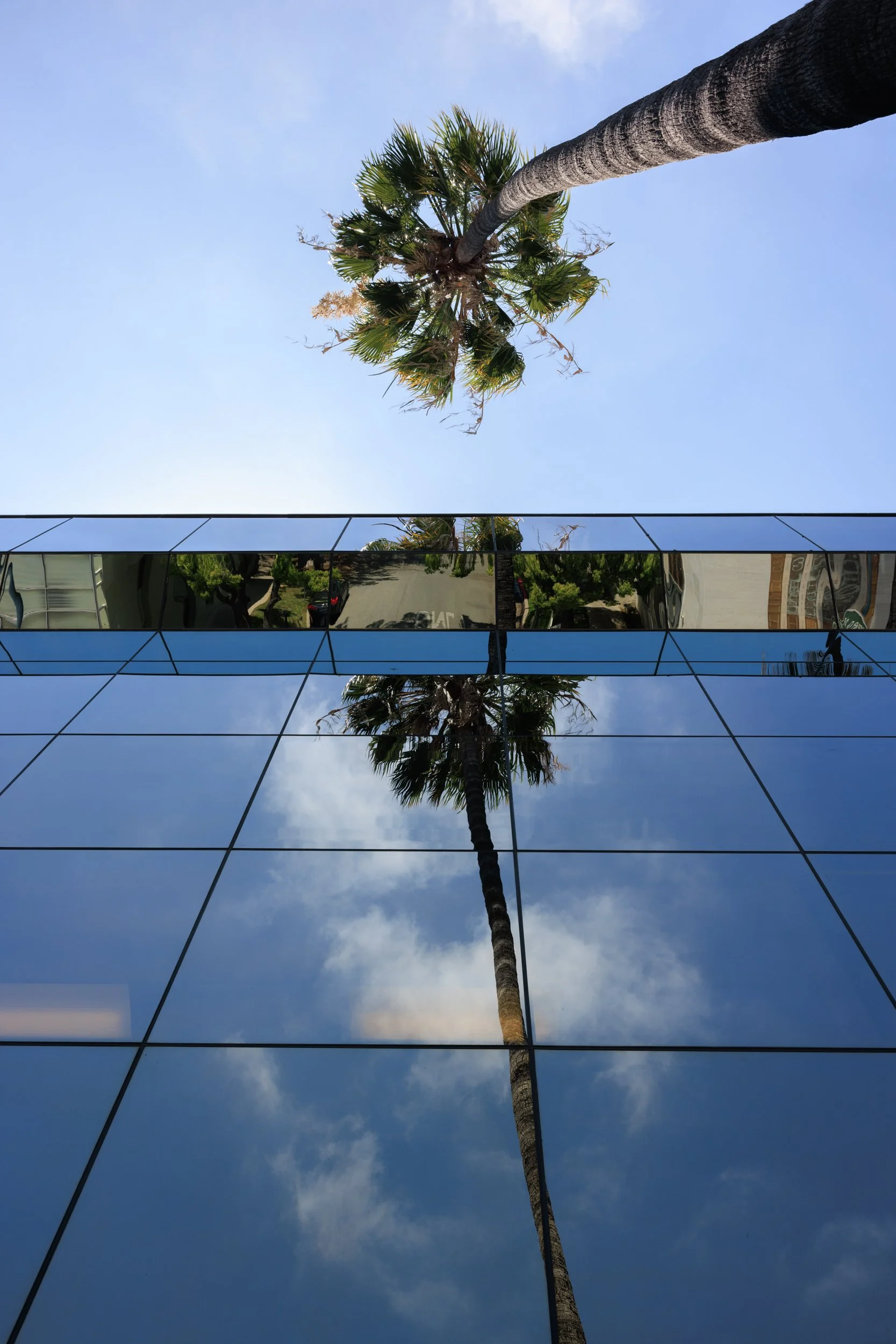 Ⓒ2024 RMS_7M4A6370.JPG