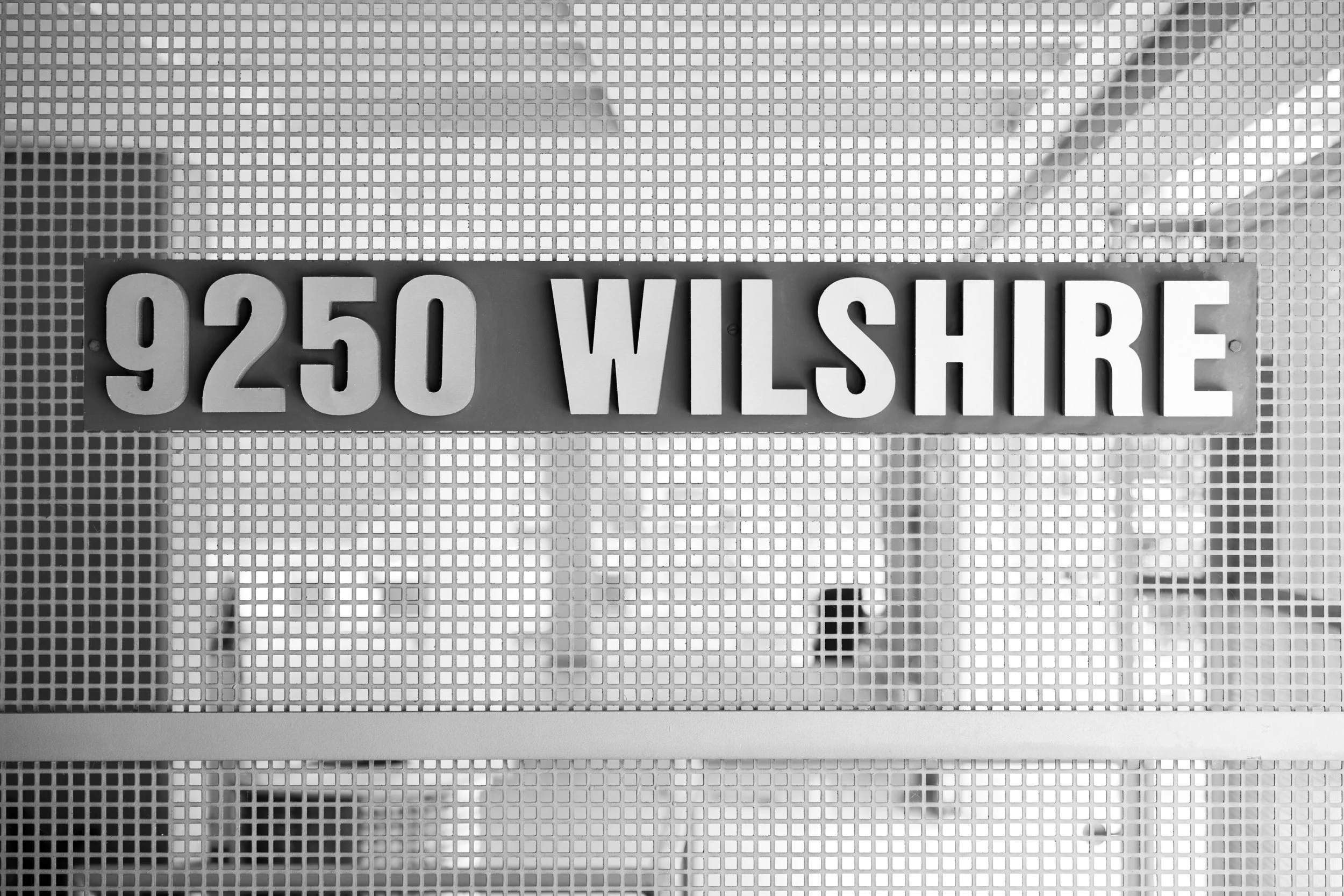 Ⓒ2024 RMS_7M4A6492.JPG