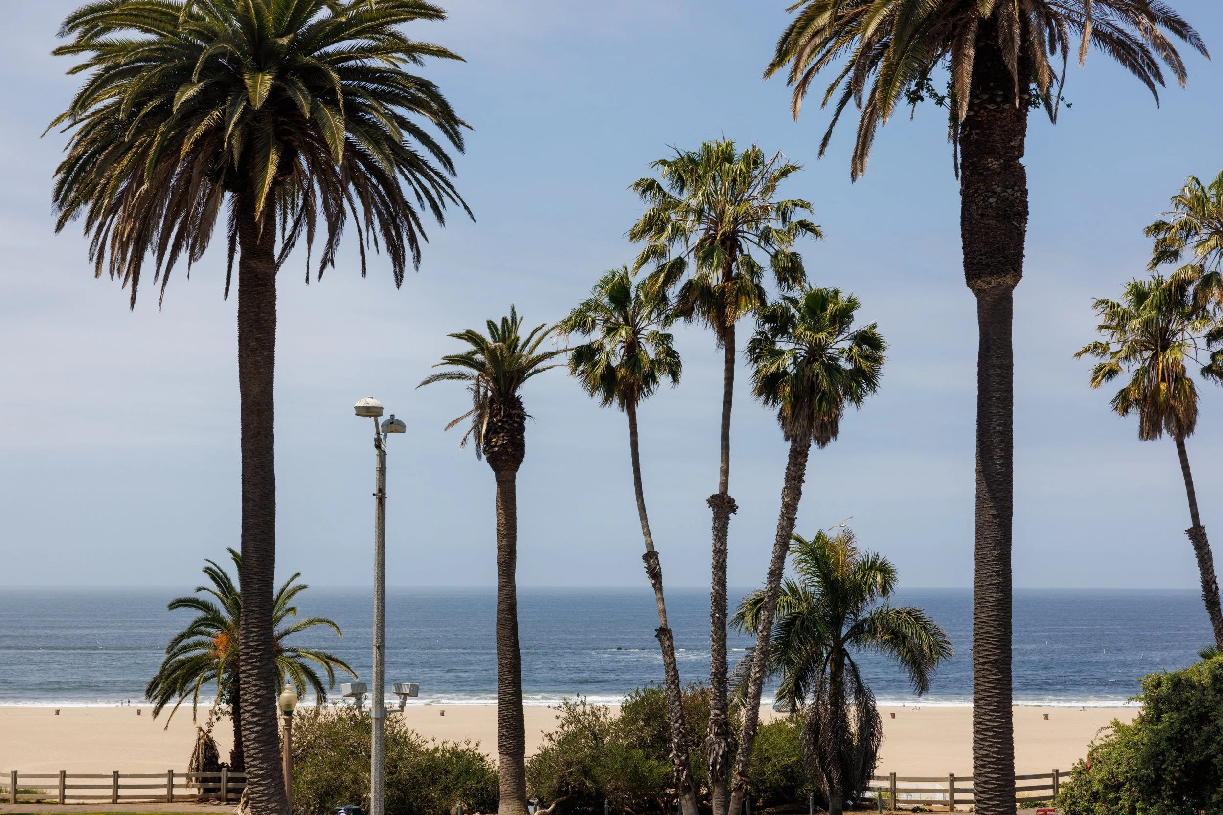 Ⓒ2024 RMS_7M4A7239.JPG