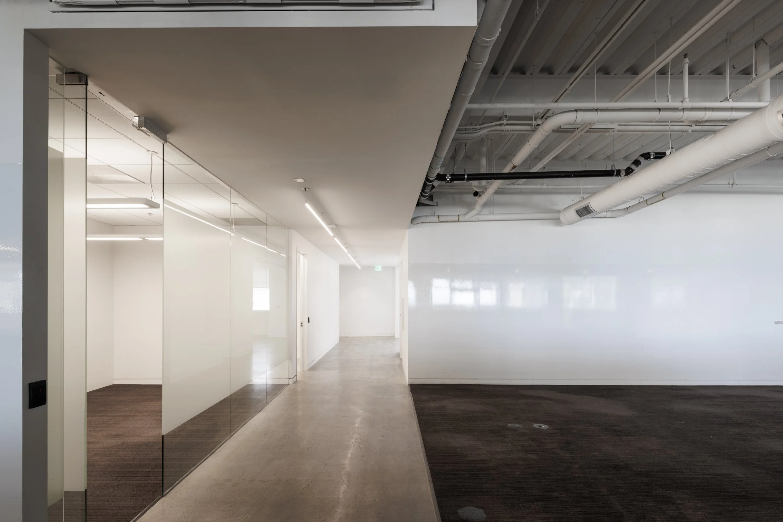 Ⓒ2024 RMS_7M4A7248.JPG