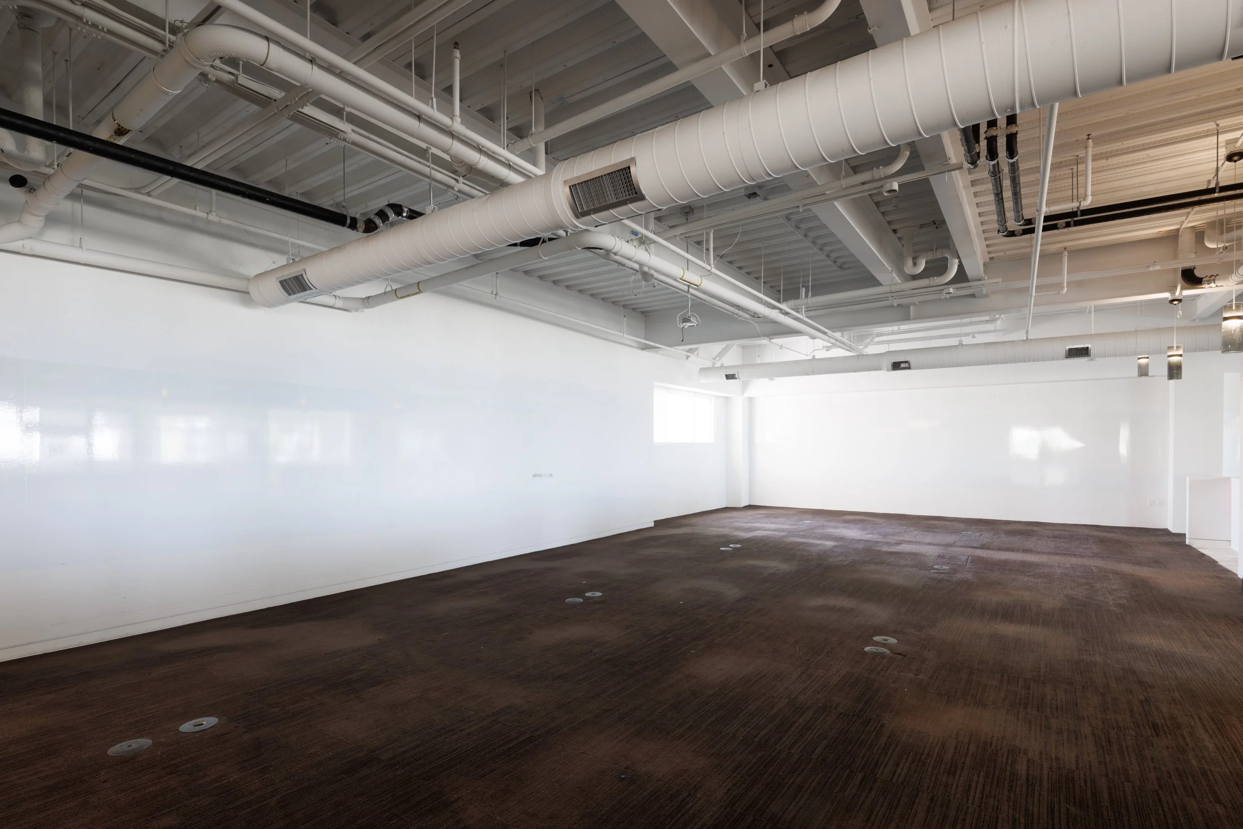 Ⓒ2024 RMS_7M4A7246.JPG