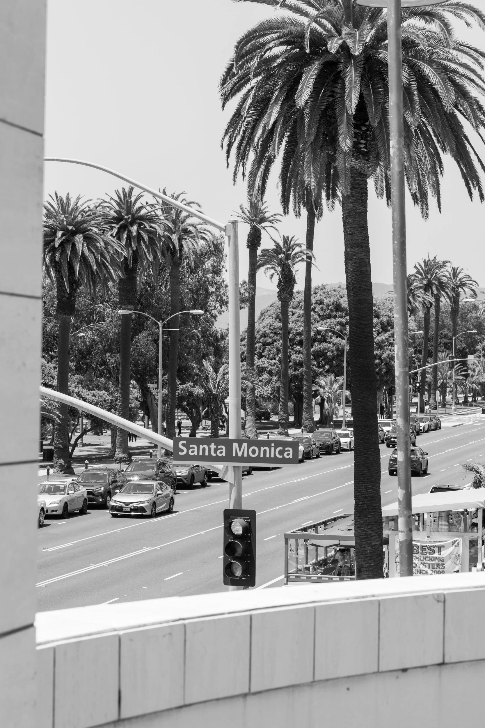 Ⓒ2024 RMS_7M4A7276.JPG