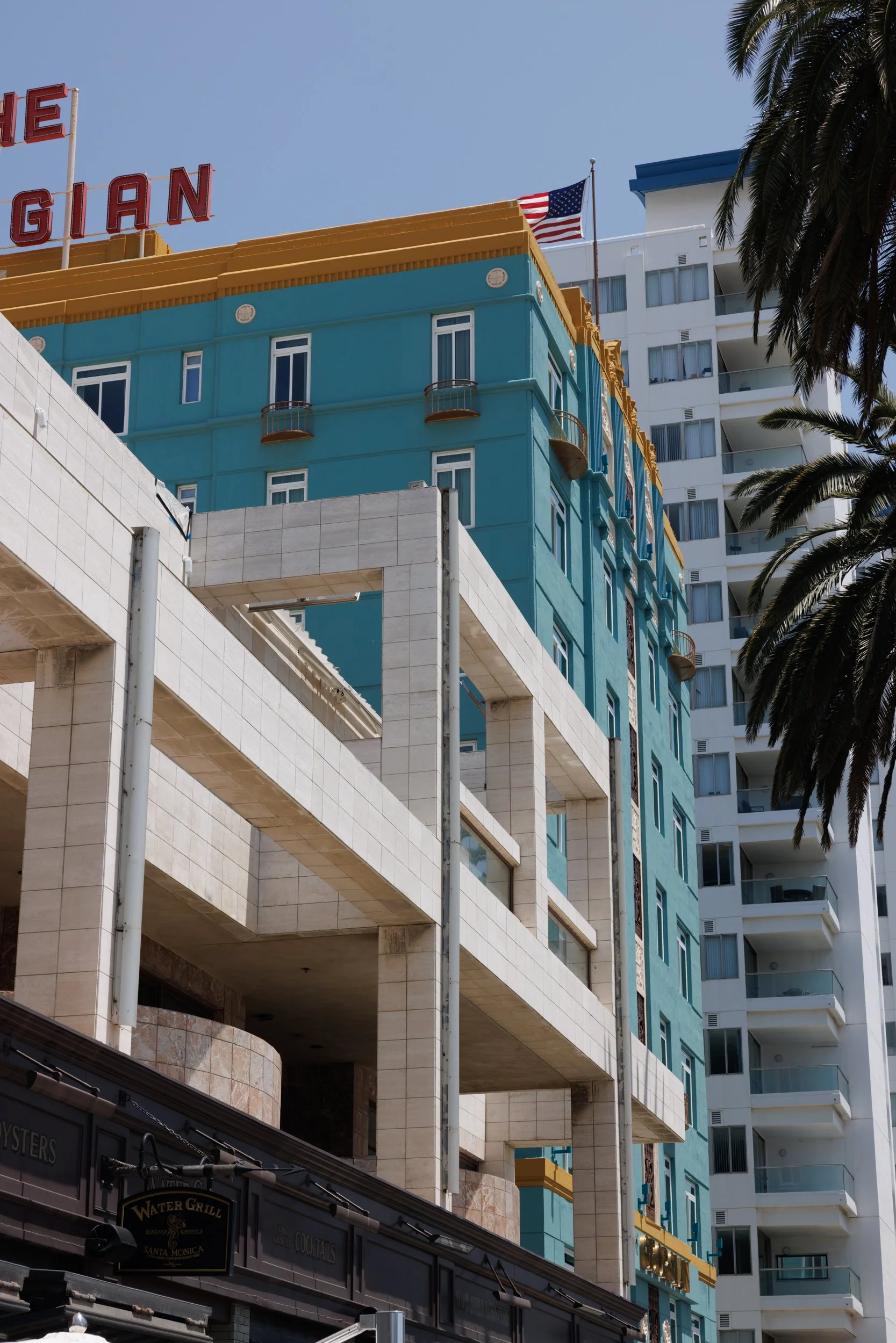 Ⓒ2024 RMS_7M4A7300.JPG