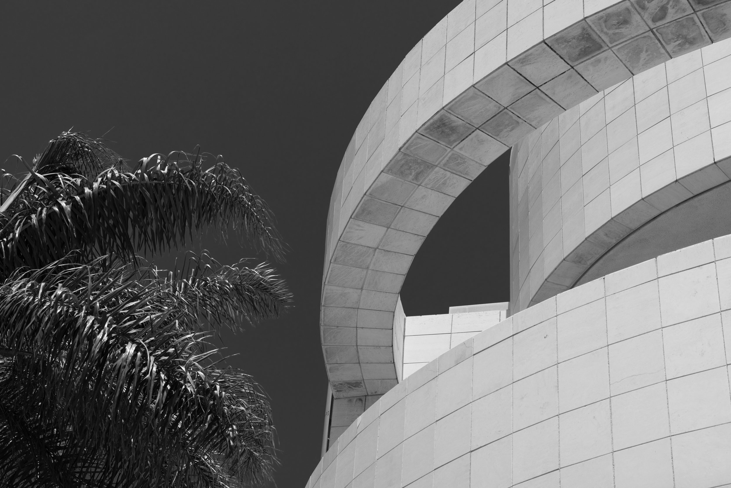 Ⓒ2024 RMS_7M4A7306.JPG