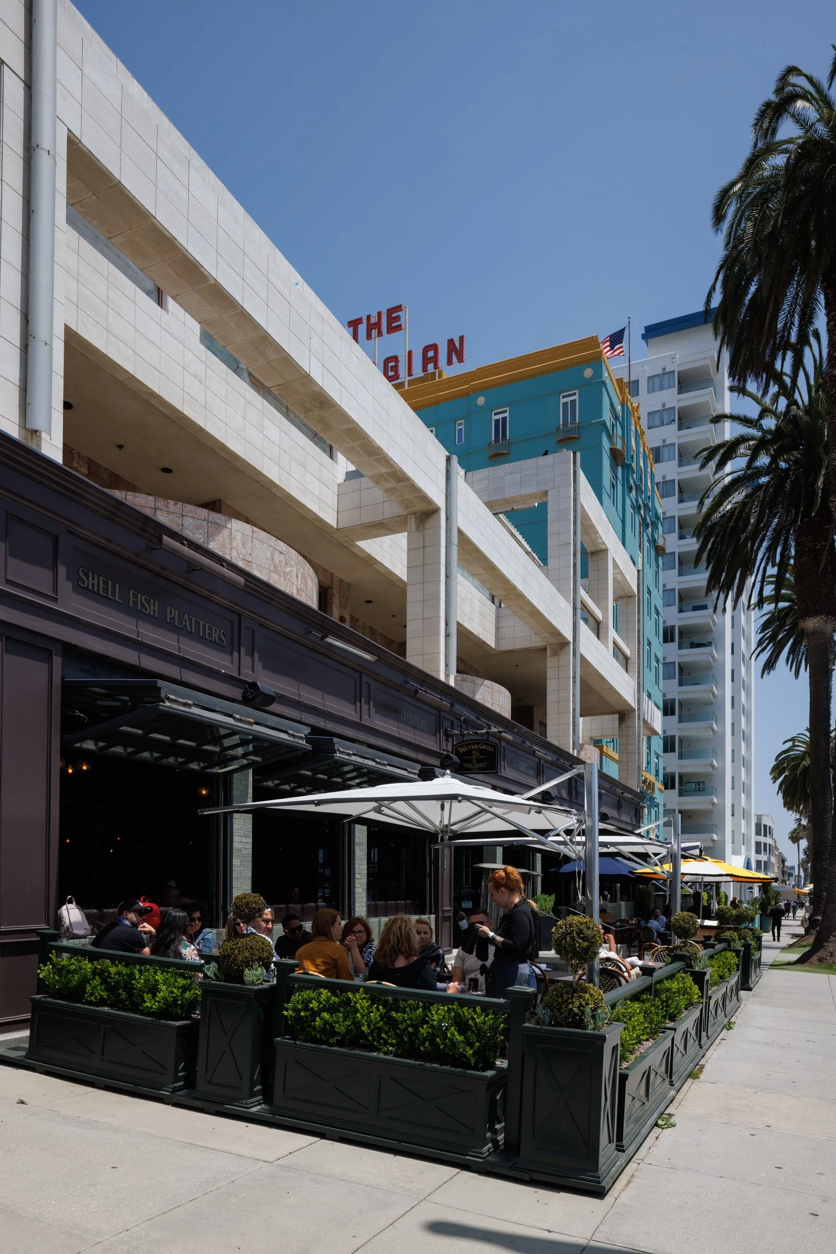 Ⓒ2024 RMS_7M4A7316.JPG