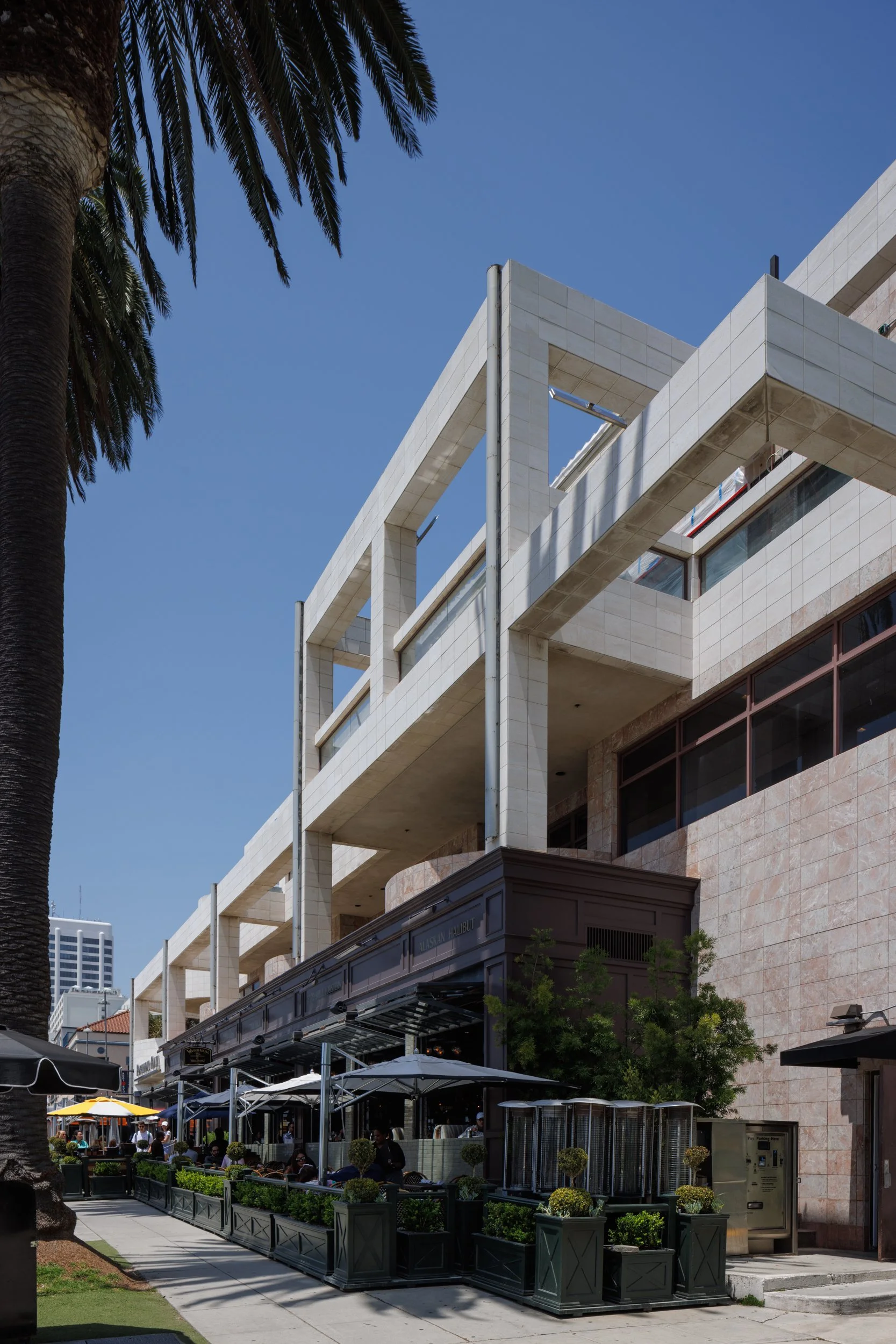 Ⓒ2024 RMS_7M4A7318.JPG