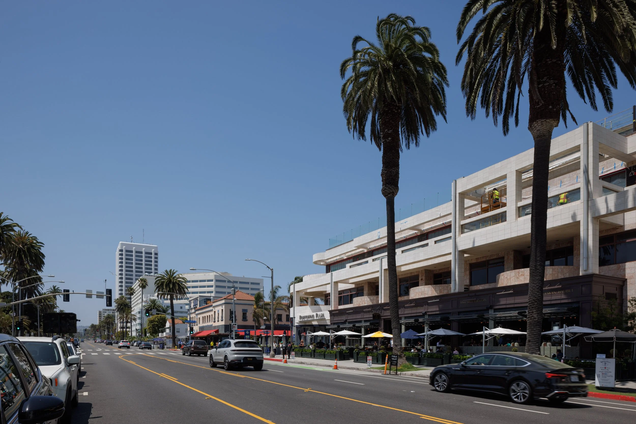 Ⓒ2024 RMS_7M4A7364.JPG