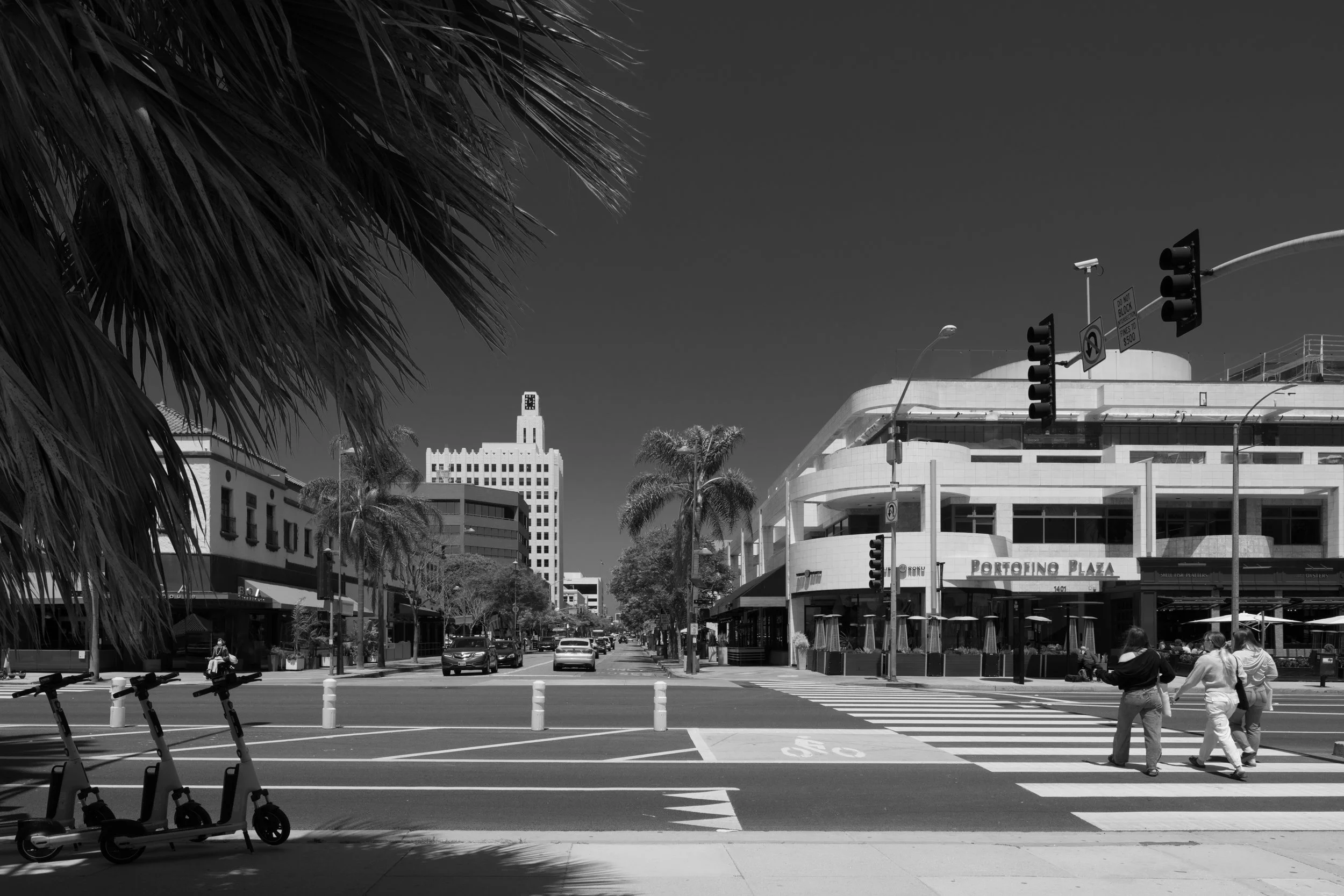 Ⓒ2024 RMS_7M4A7370.JPG