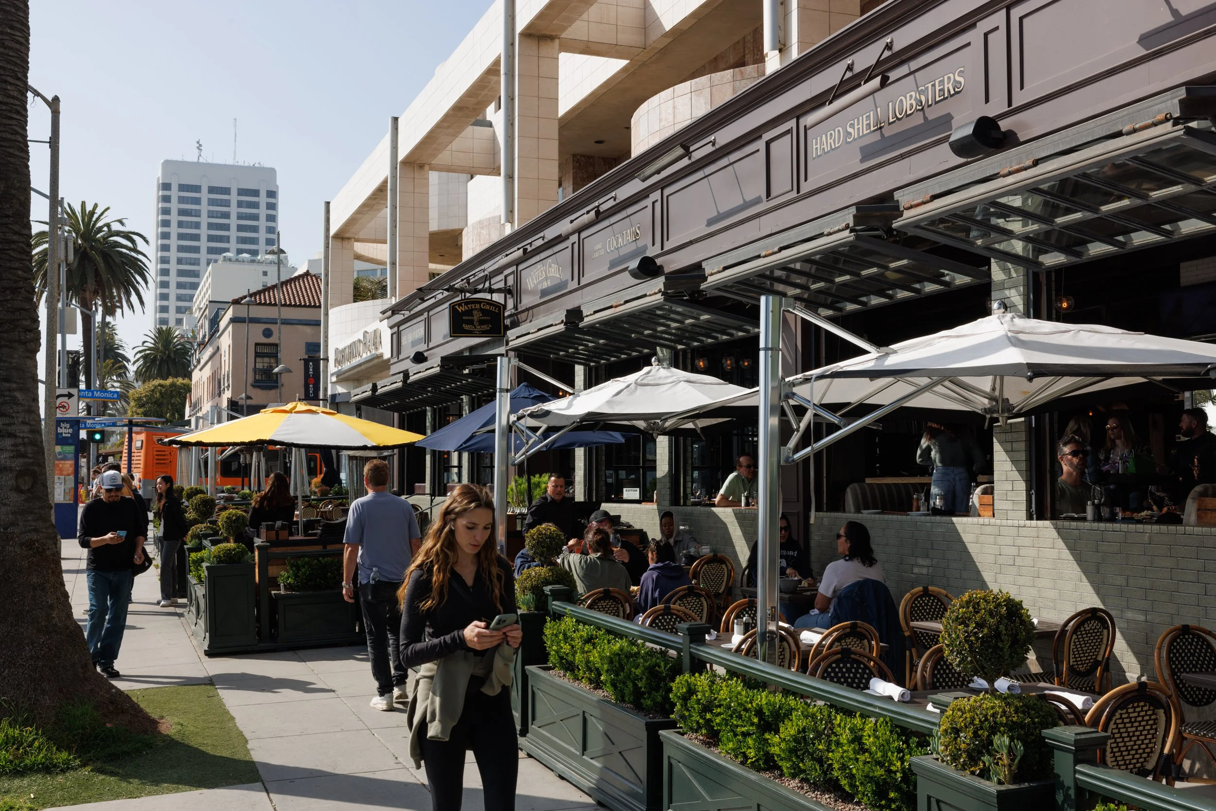 Ⓒ2024 RMS_7M4A7408.JPG