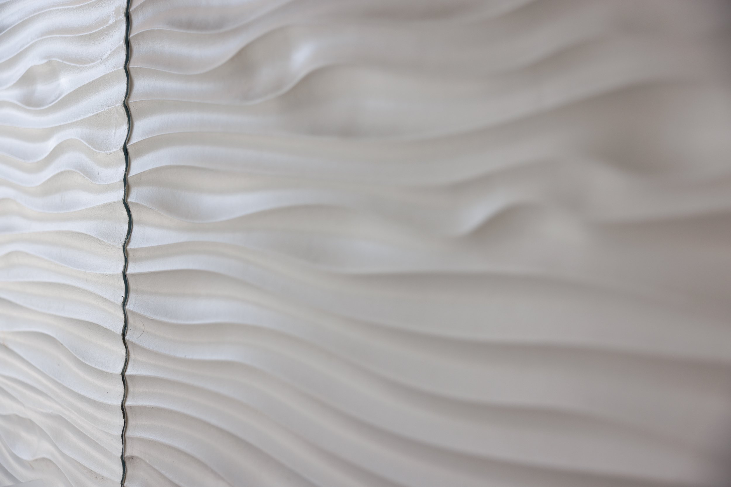 Ⓒ2024 RMS_7M4A7418.JPG