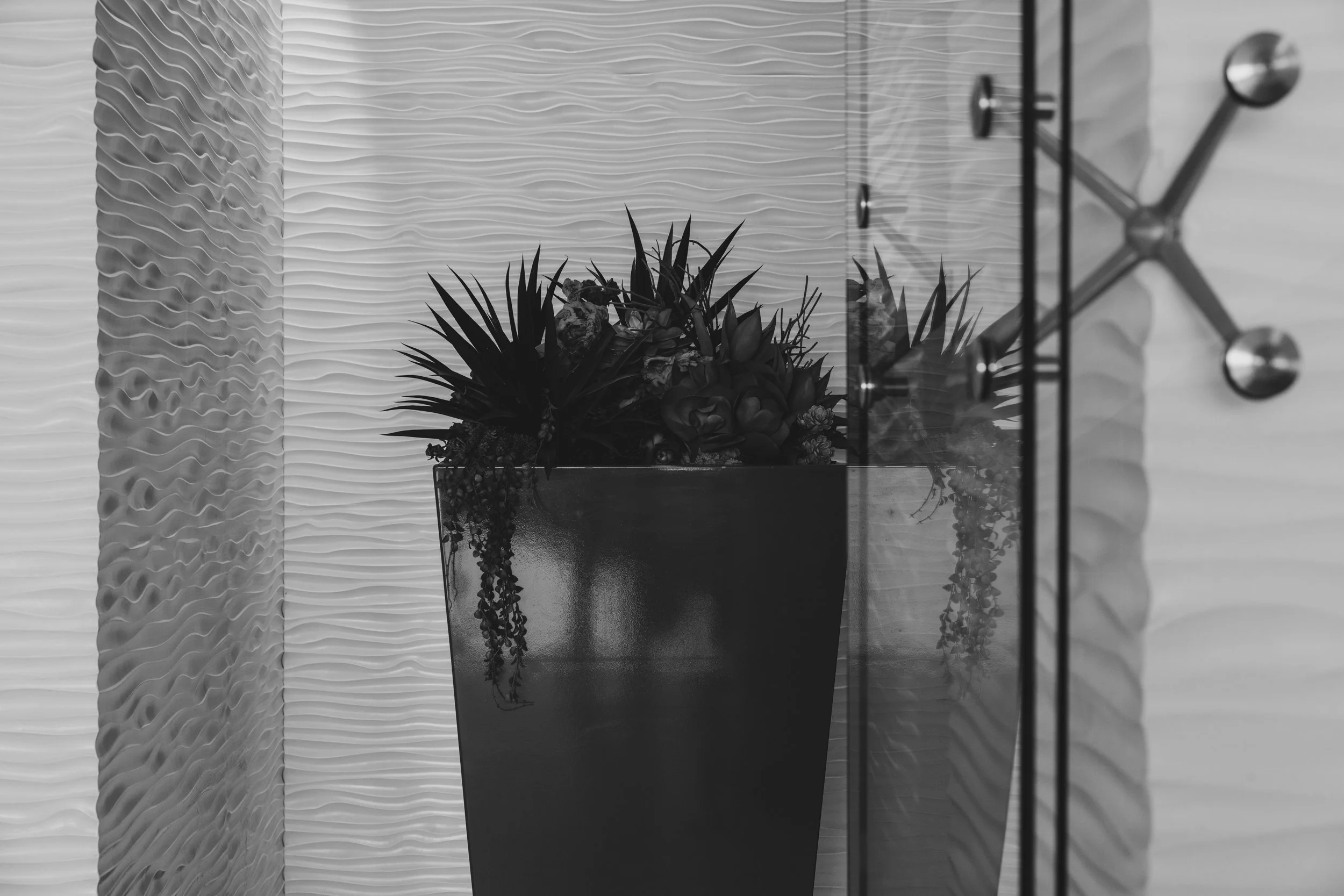 Ⓒ2024 RMS_7M4A7421.JPG