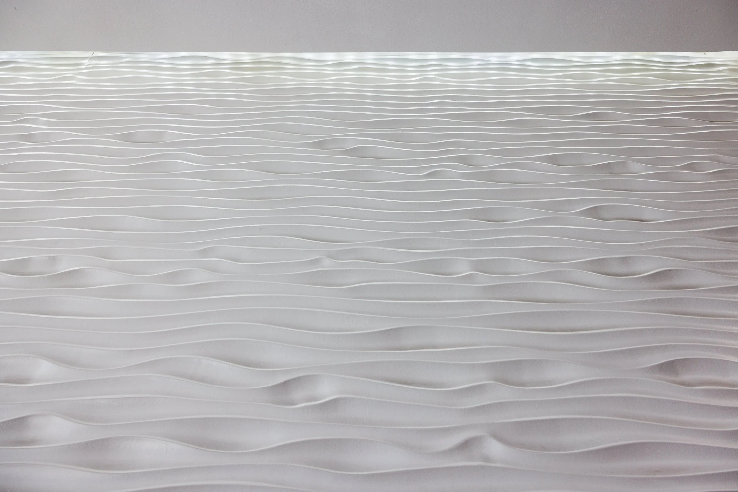 Ⓒ2024 RMS_7M4A7424.JPG