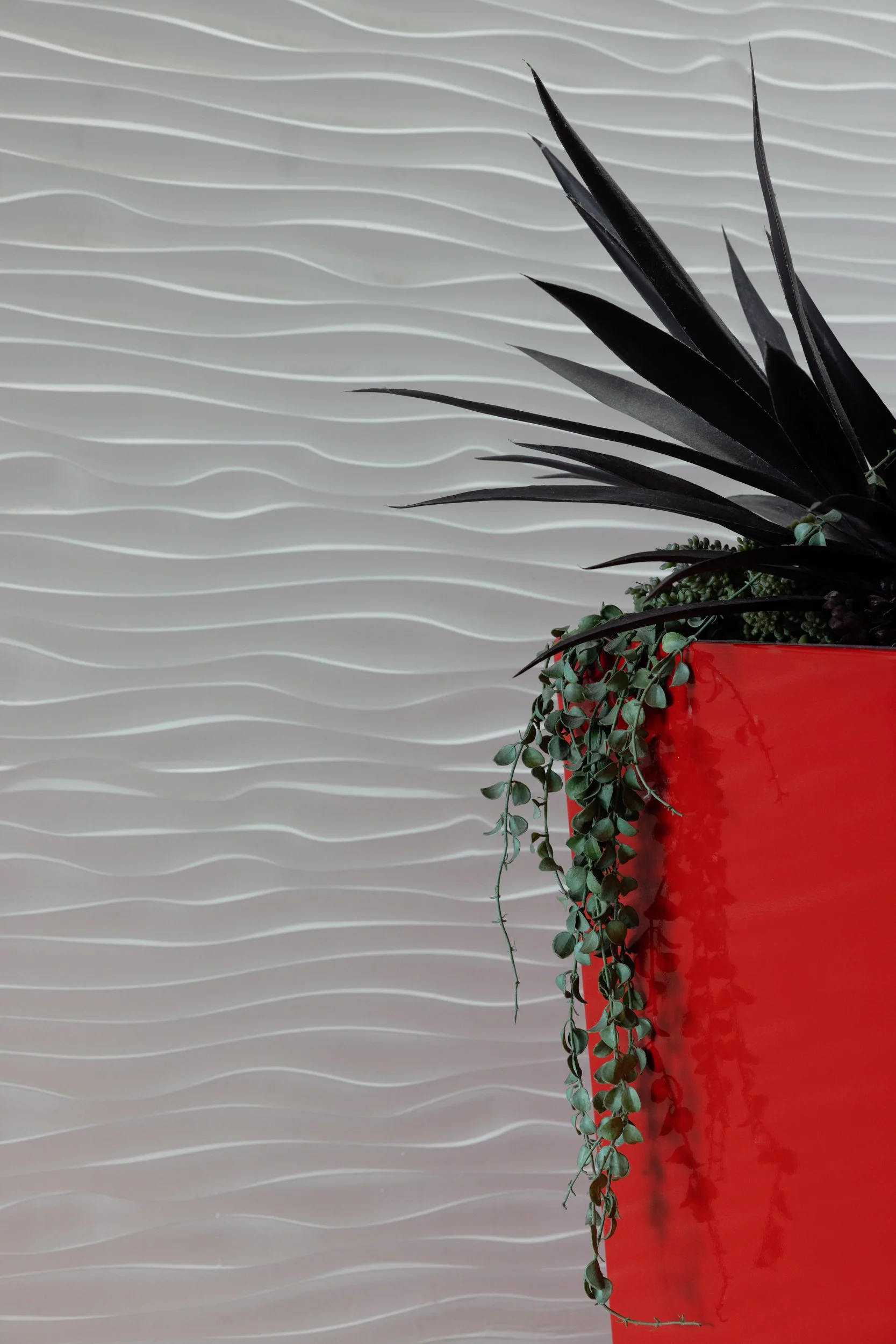 Ⓒ2024 RMS_7M4A7430.JPG